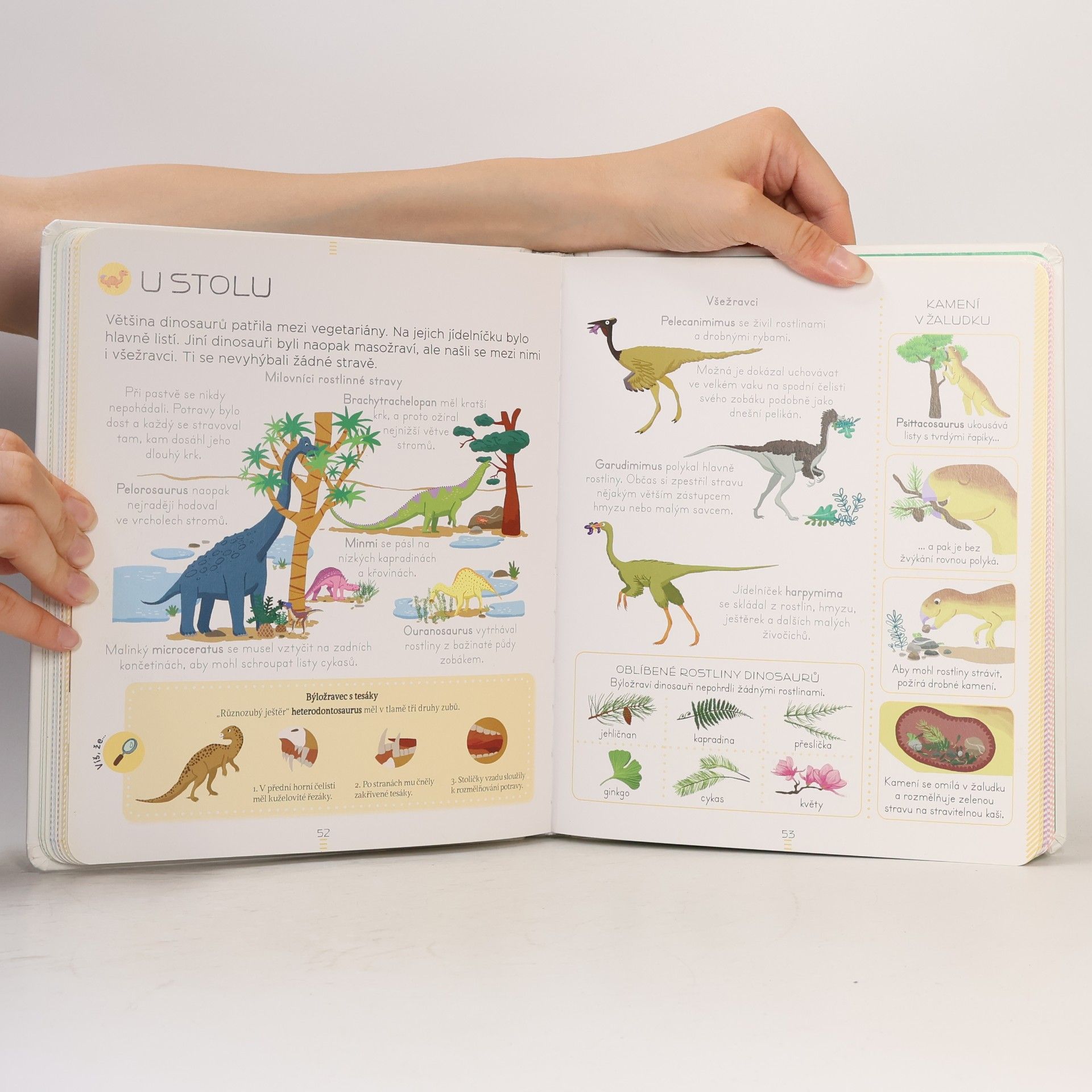Sylvie Bézuel Encyklopedie Larousse - Dinosauři