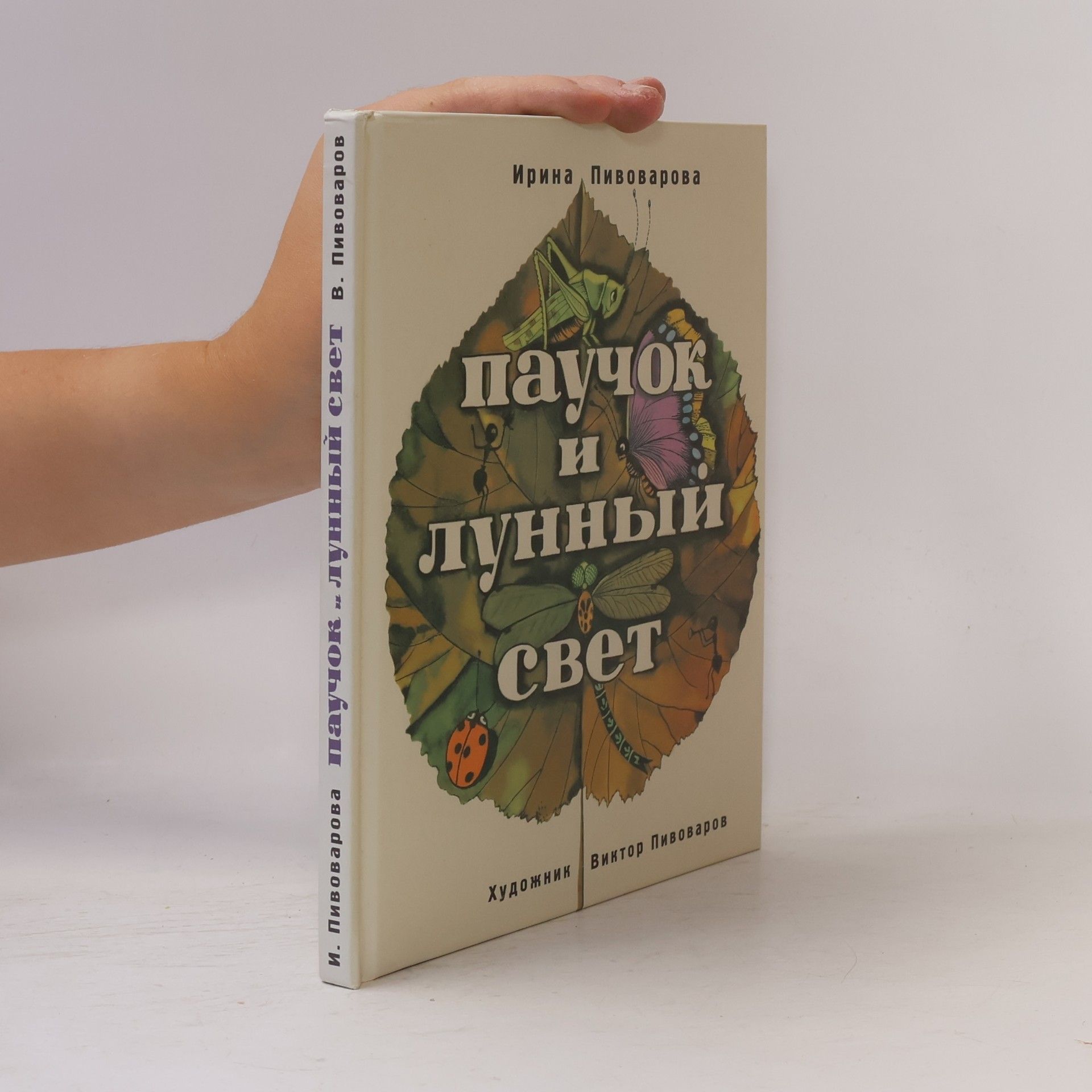 Паучок и лунный свет