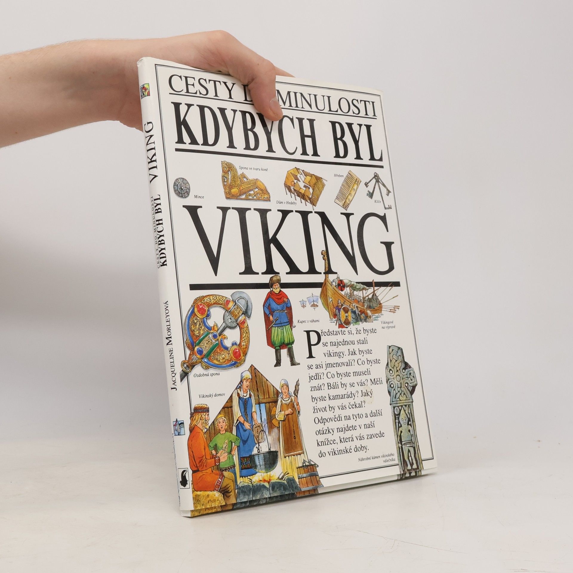 Kdybych byl Viking