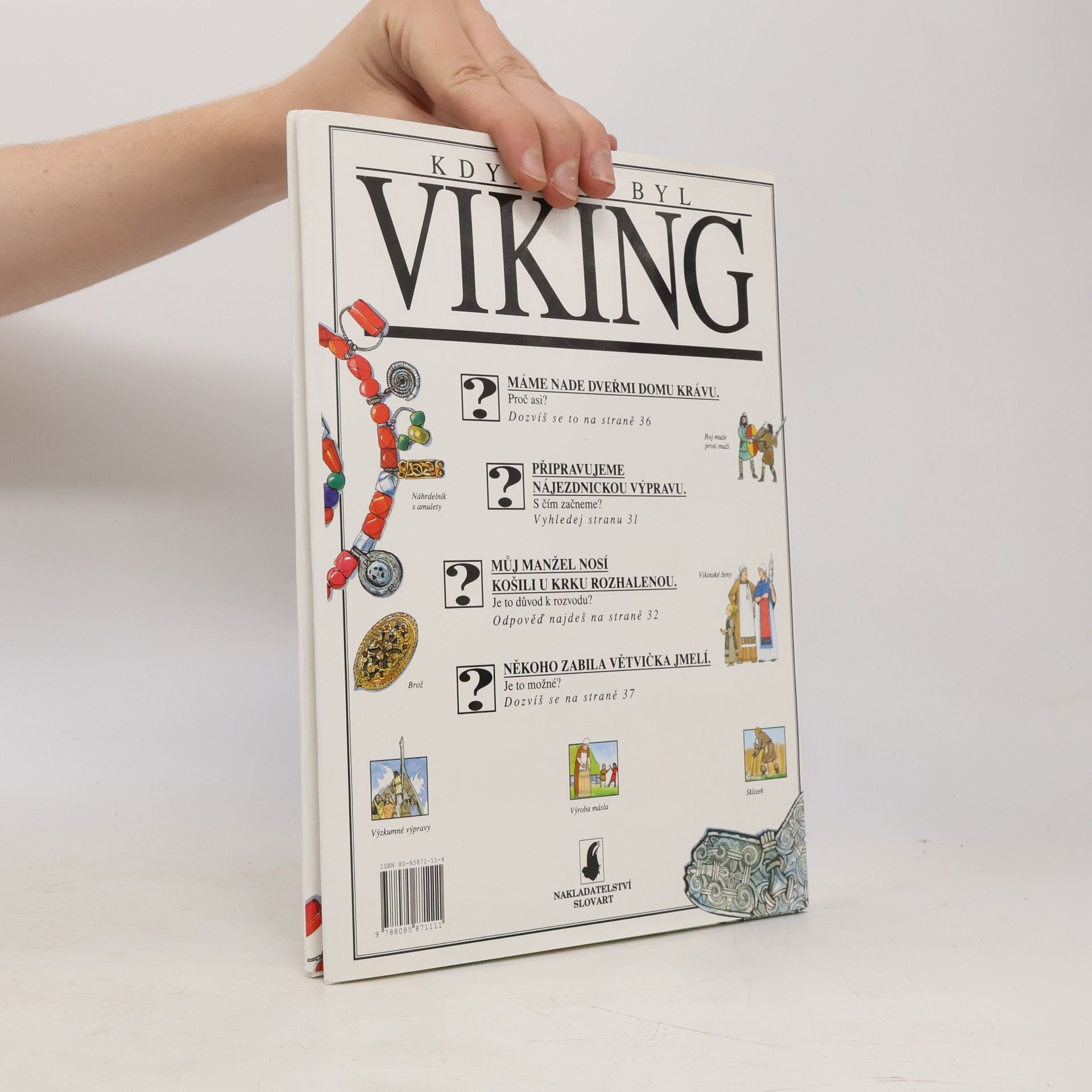 Jacqueline Morley Kdybych byl Viking