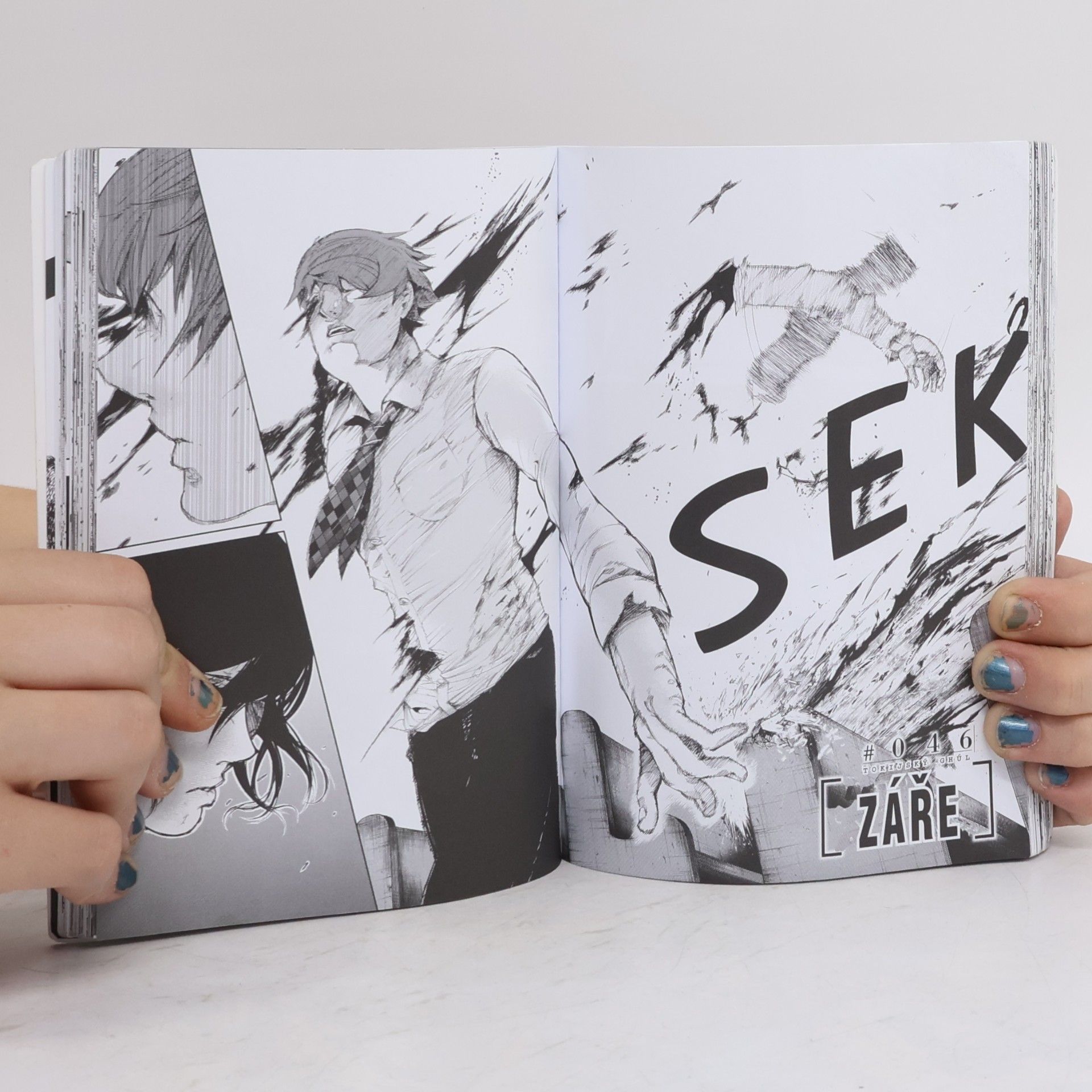Sui Ishida Tokijský ghúl. 5. díl