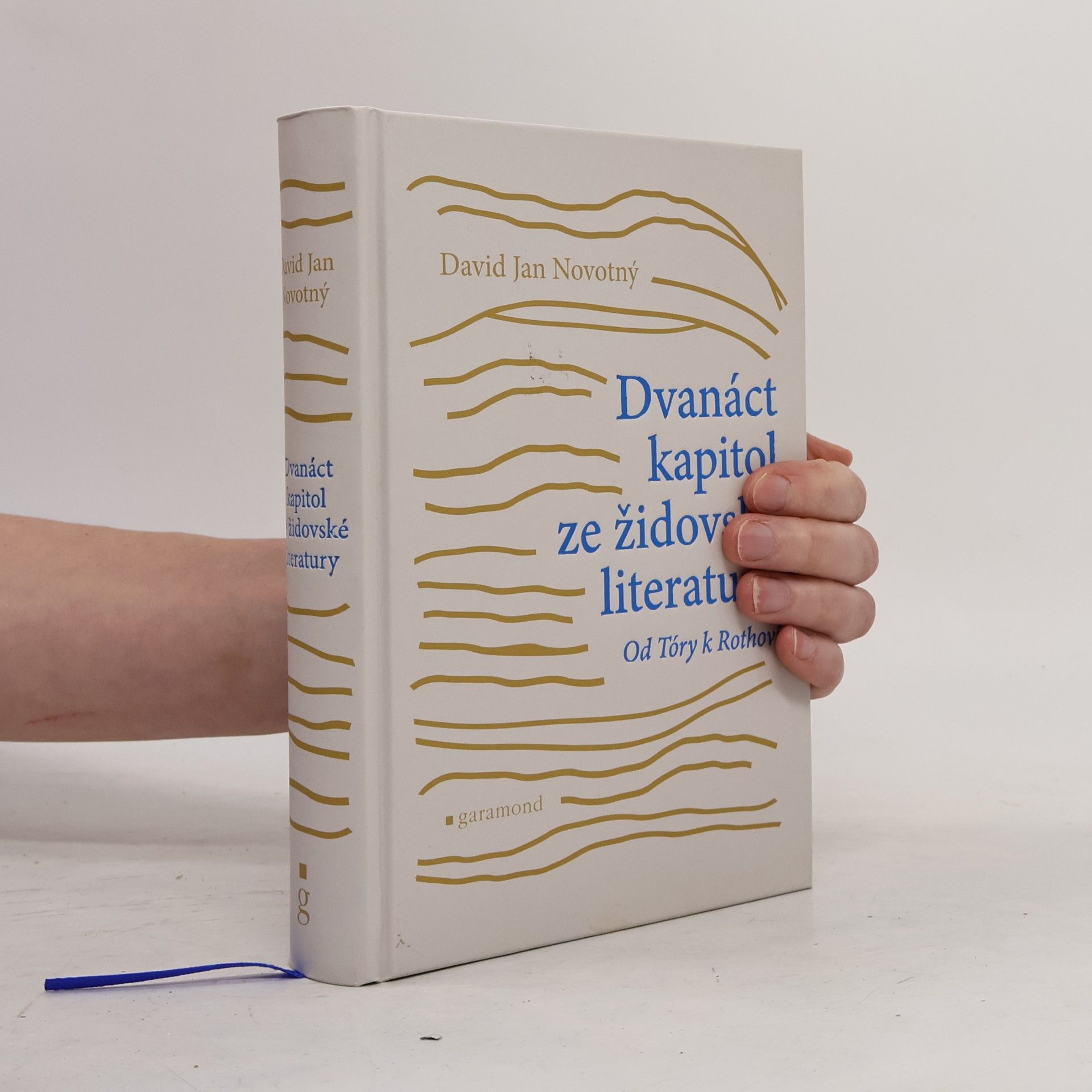 Dvanáct kapitol ze židovské literatury: Od Tóry k Rothovi