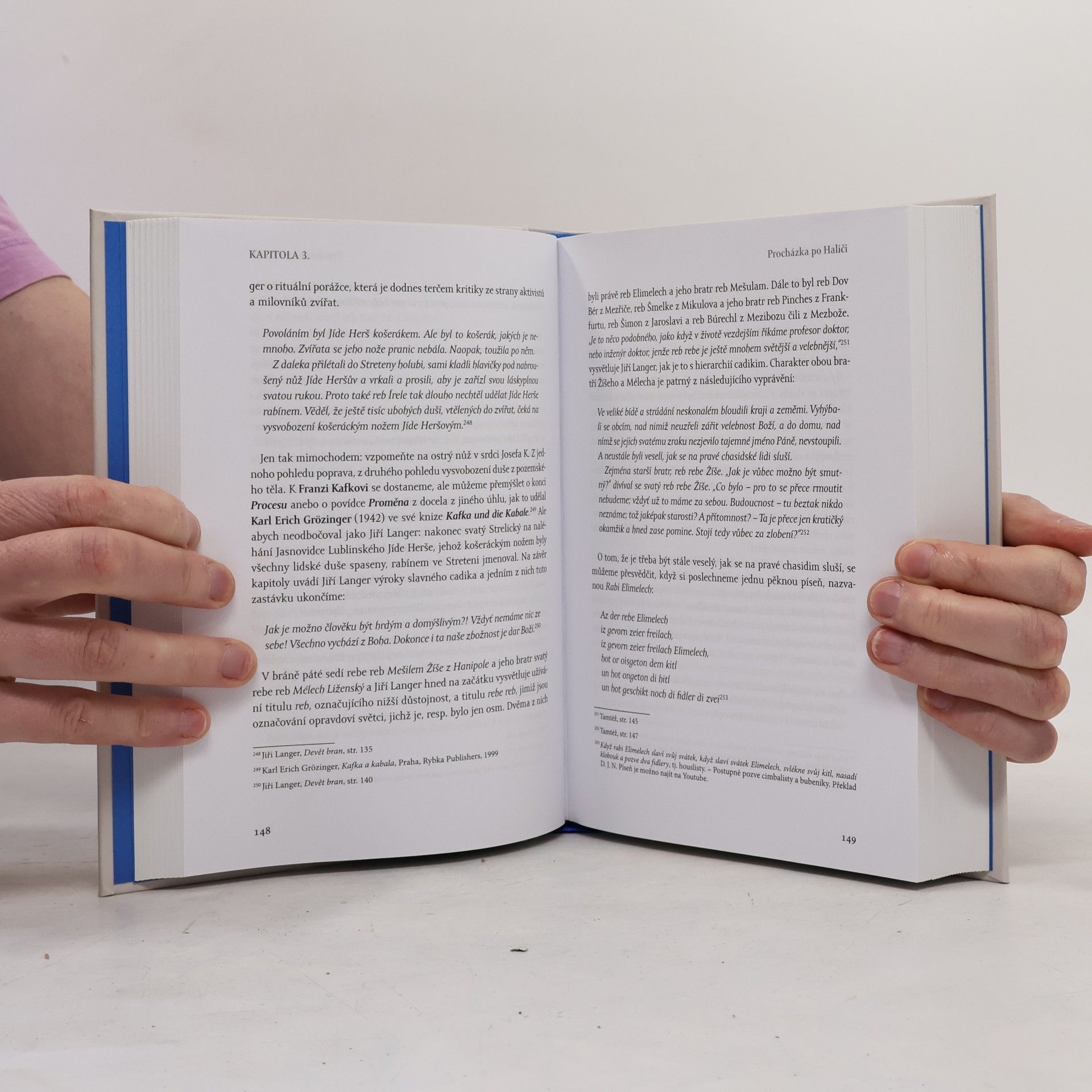 David Jan Novotný Dvanáct kapitol ze židovské literatury: Od Tóry k Rothovi