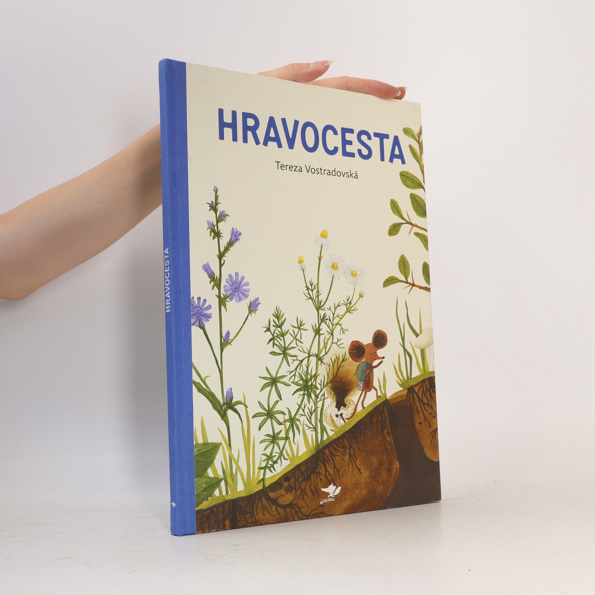 Tereza Vostradovská Hravocesta