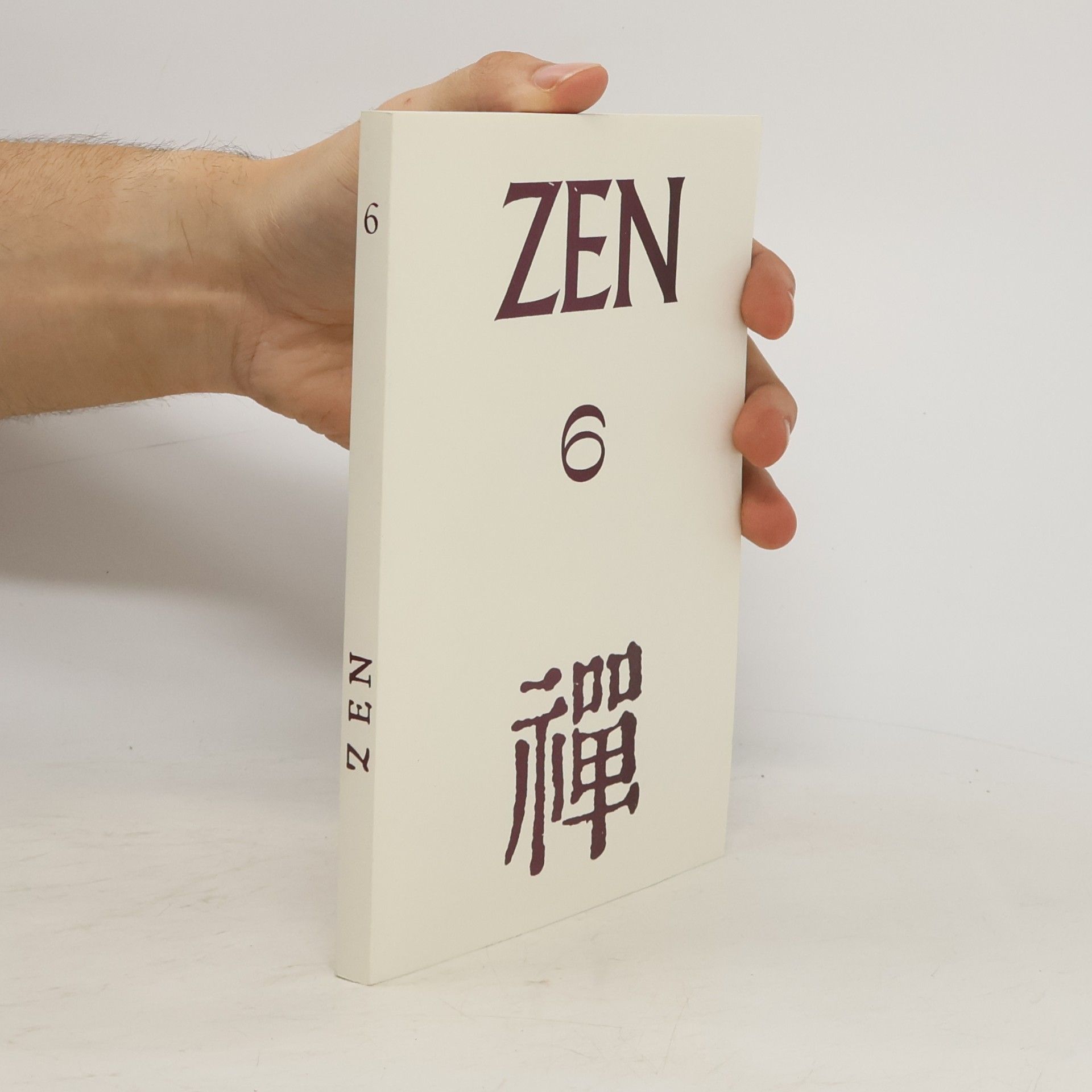 Jan Vladislav Zen 6