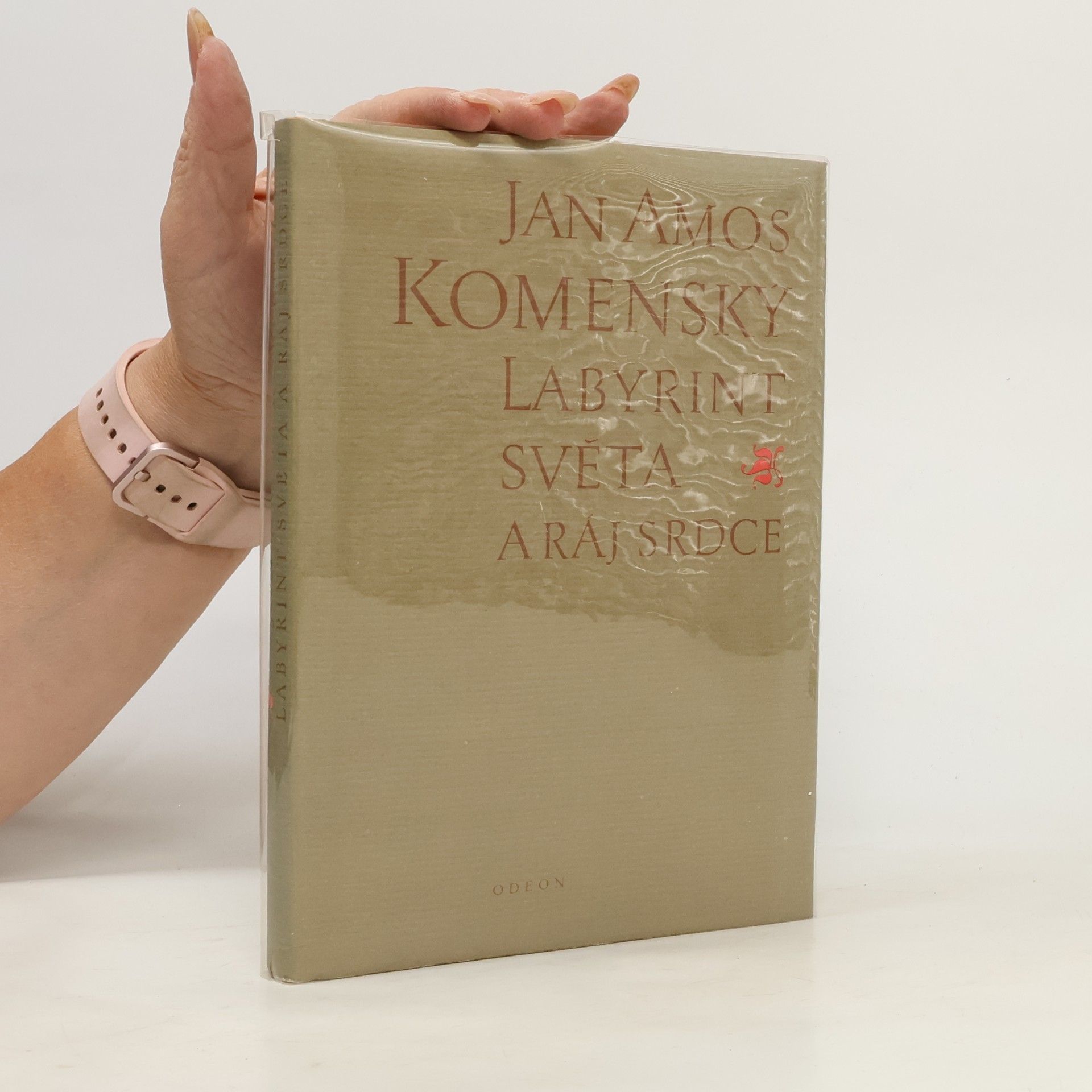 John Amos Comenius Labyrint světa a ráj srdce