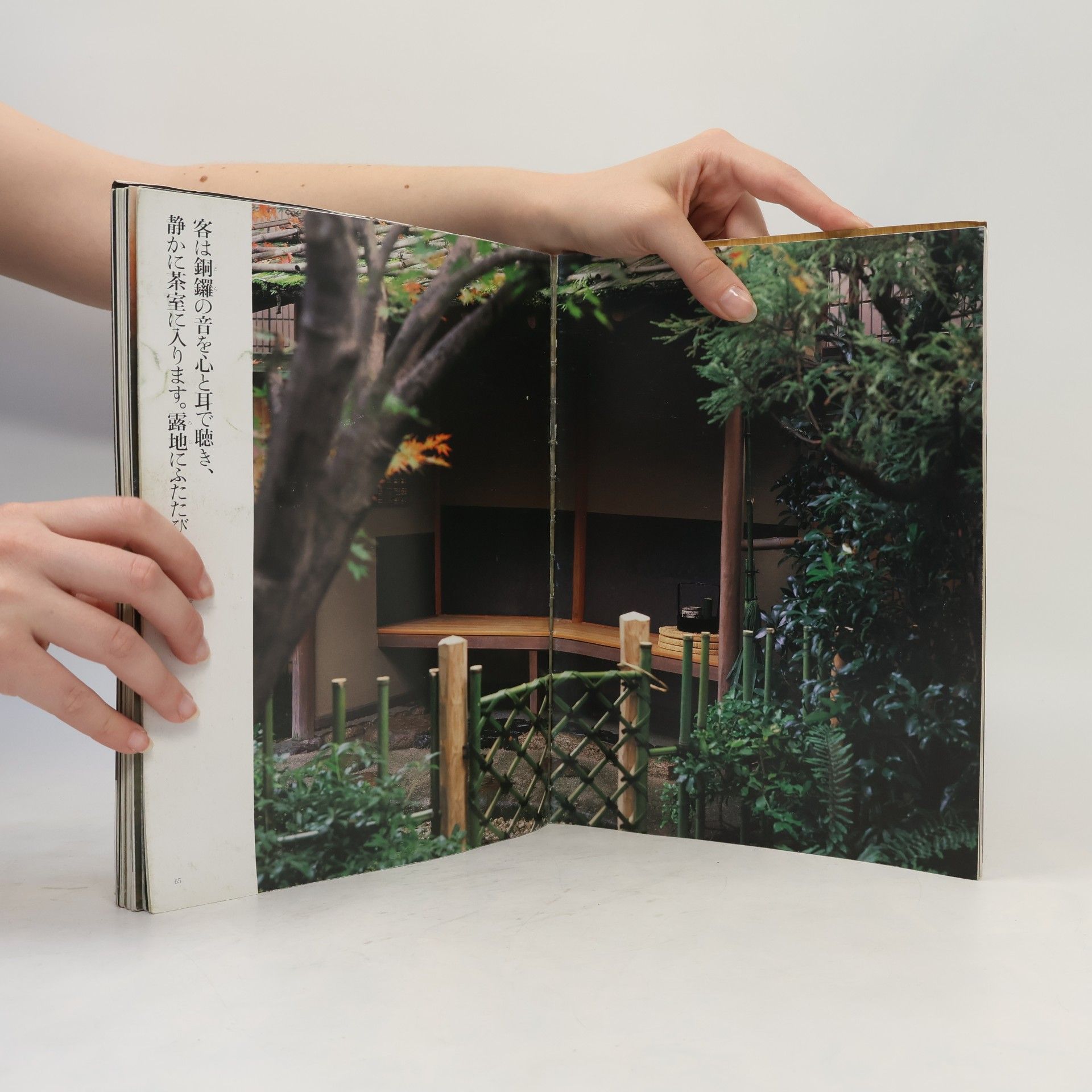 千 宗室 淡交ムック: 茶の美