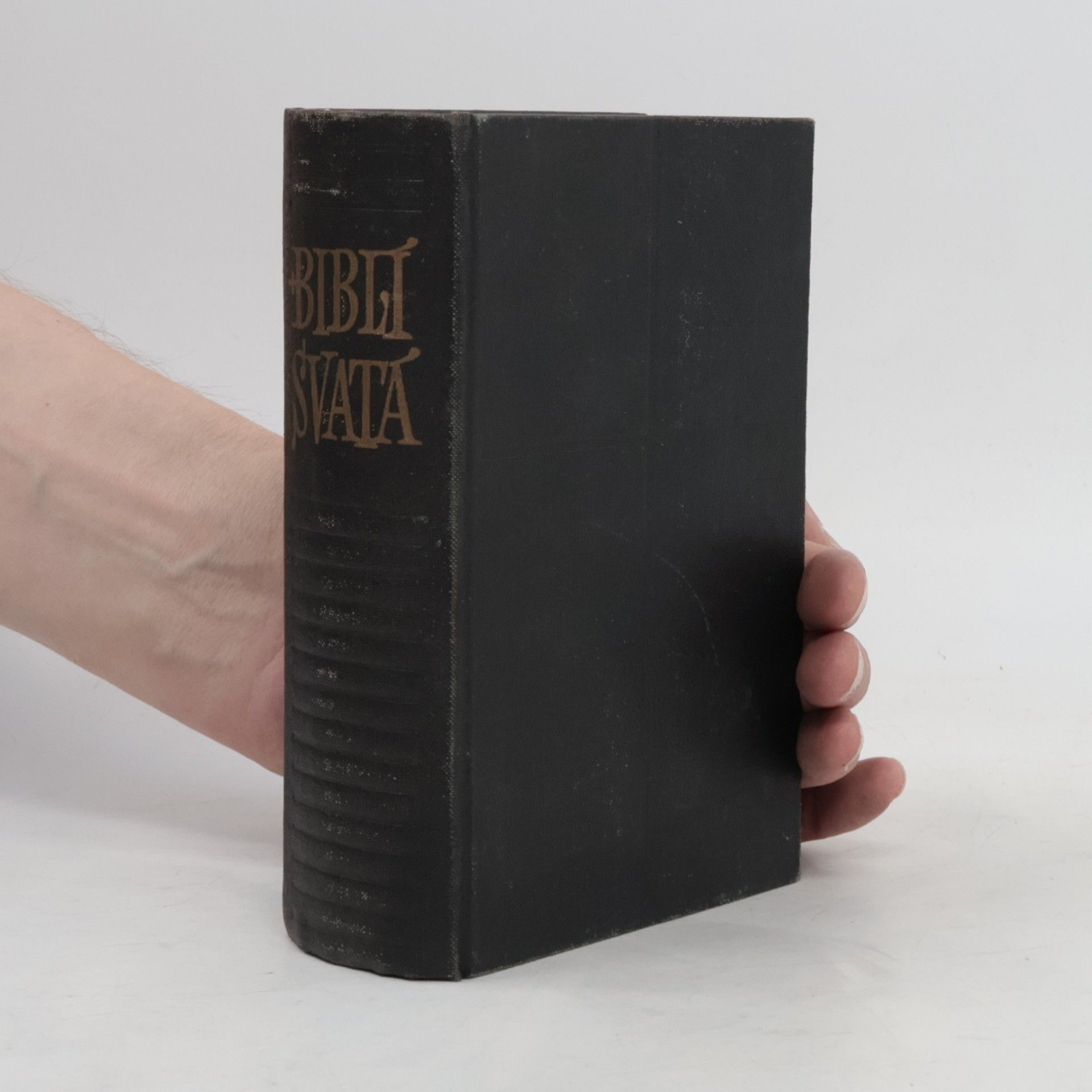 Various authors Biblí svatá aneb všecka svatá písma starého i nového zákona