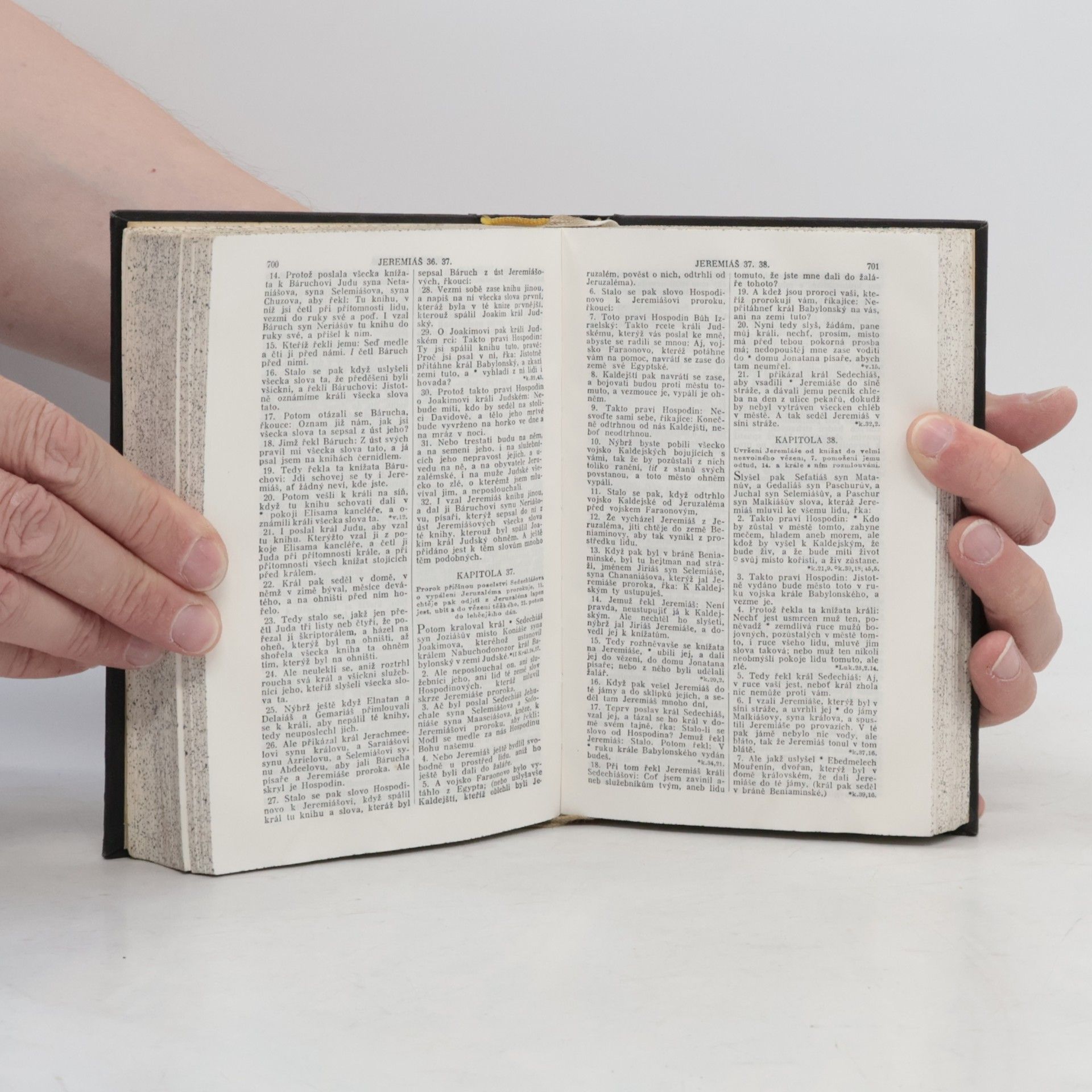 Kolektiv autorů Biblí svatá aneb všecka svatá písma starého i nového zákona