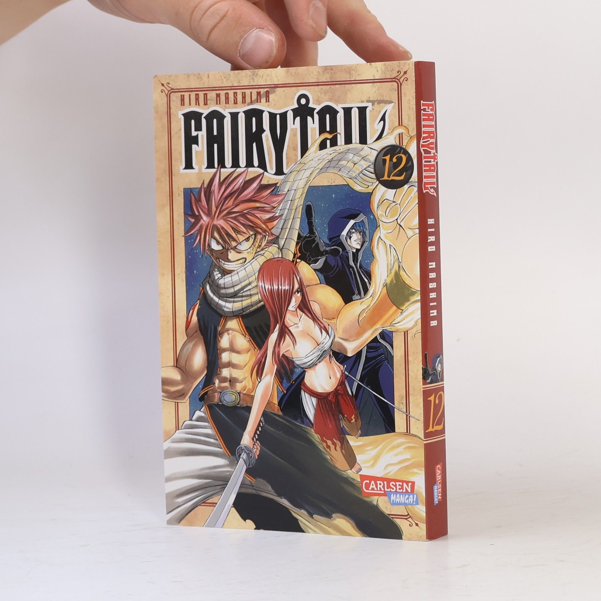 Hiro M. Fairy Tail Volume 12