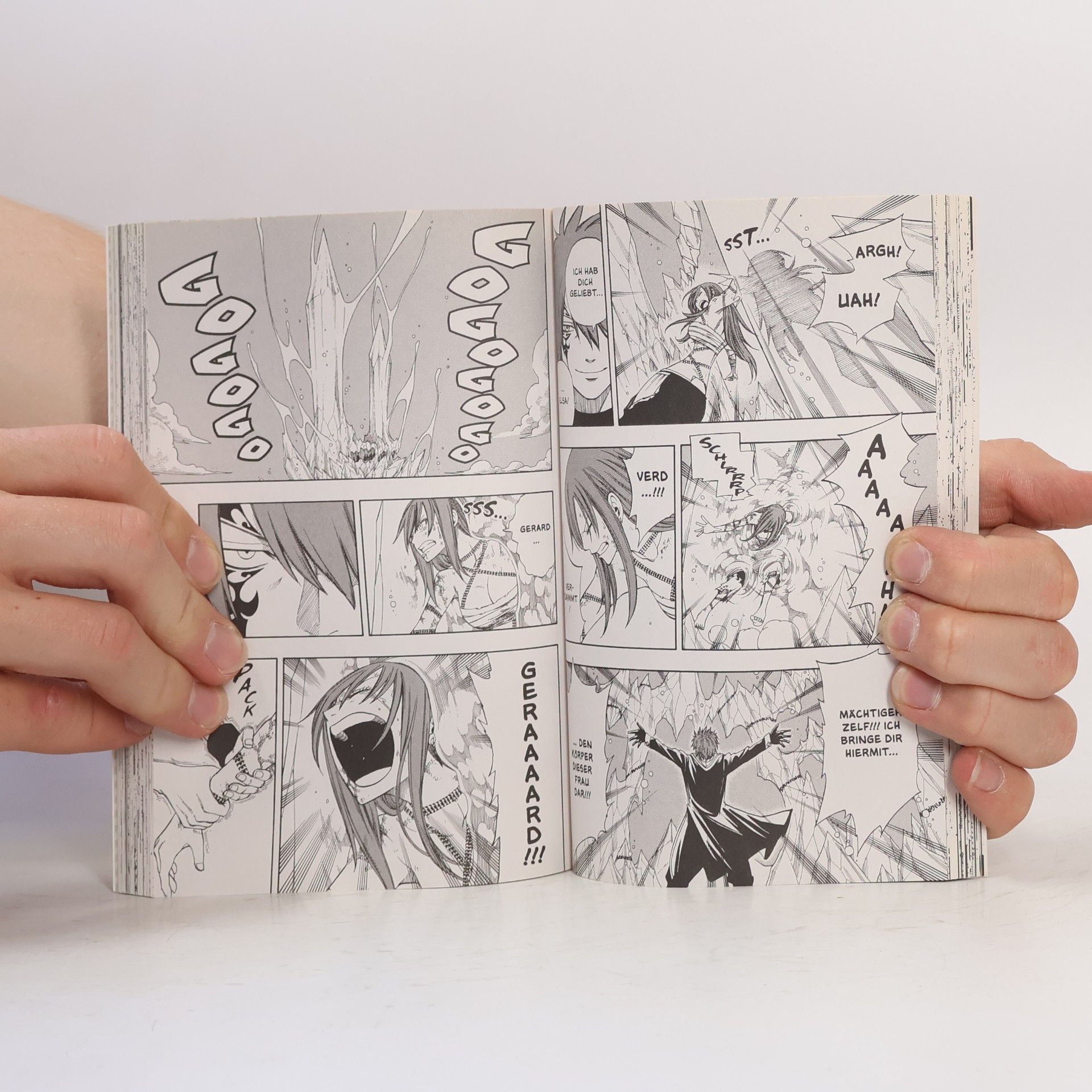 Hiro M. Fairy Tail Volume 12