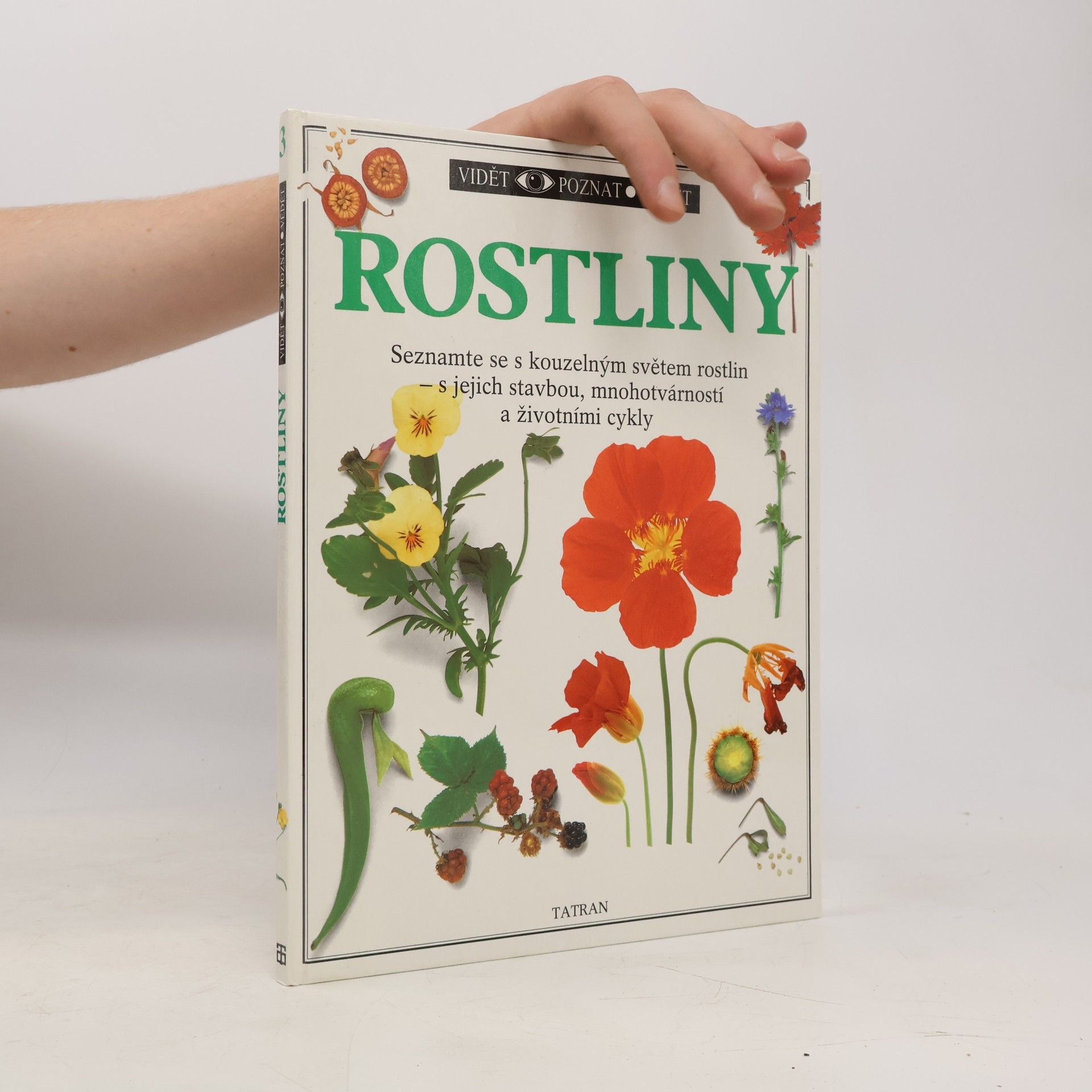 Rostliny