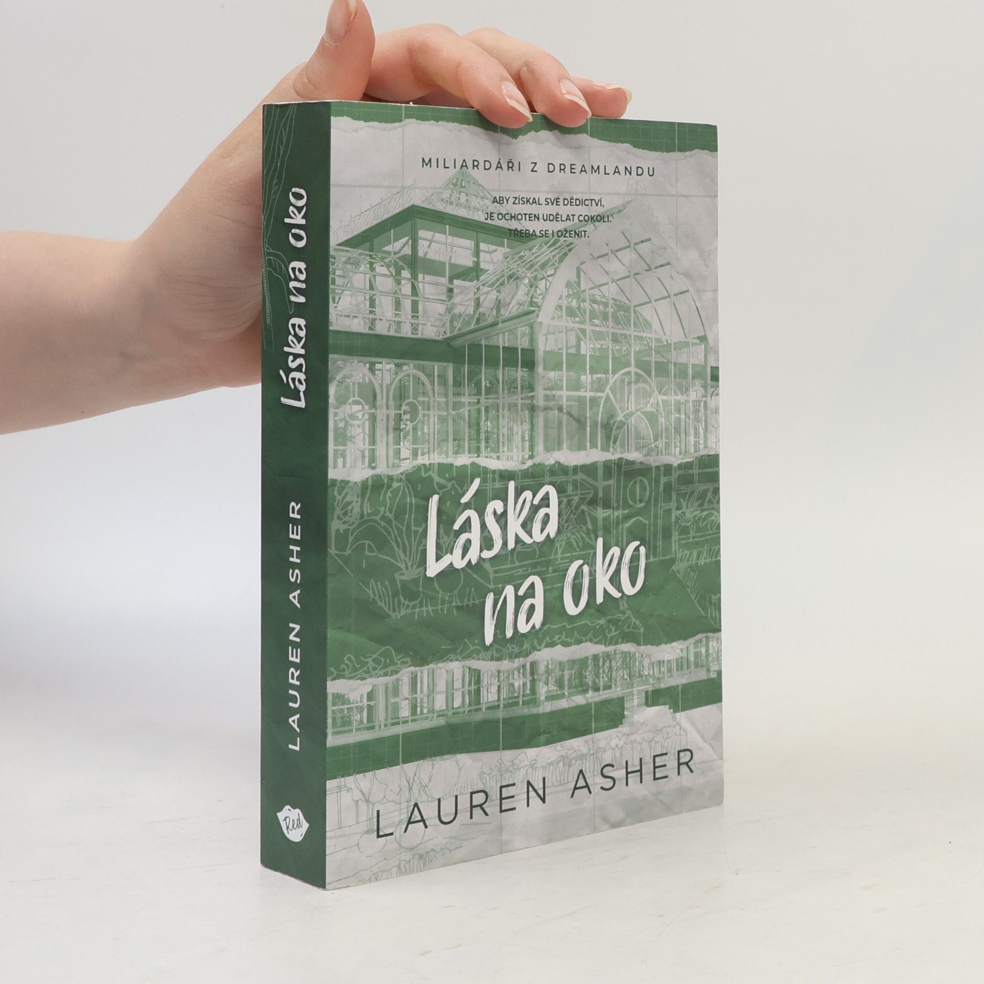 Lauren Asher Láska na oko