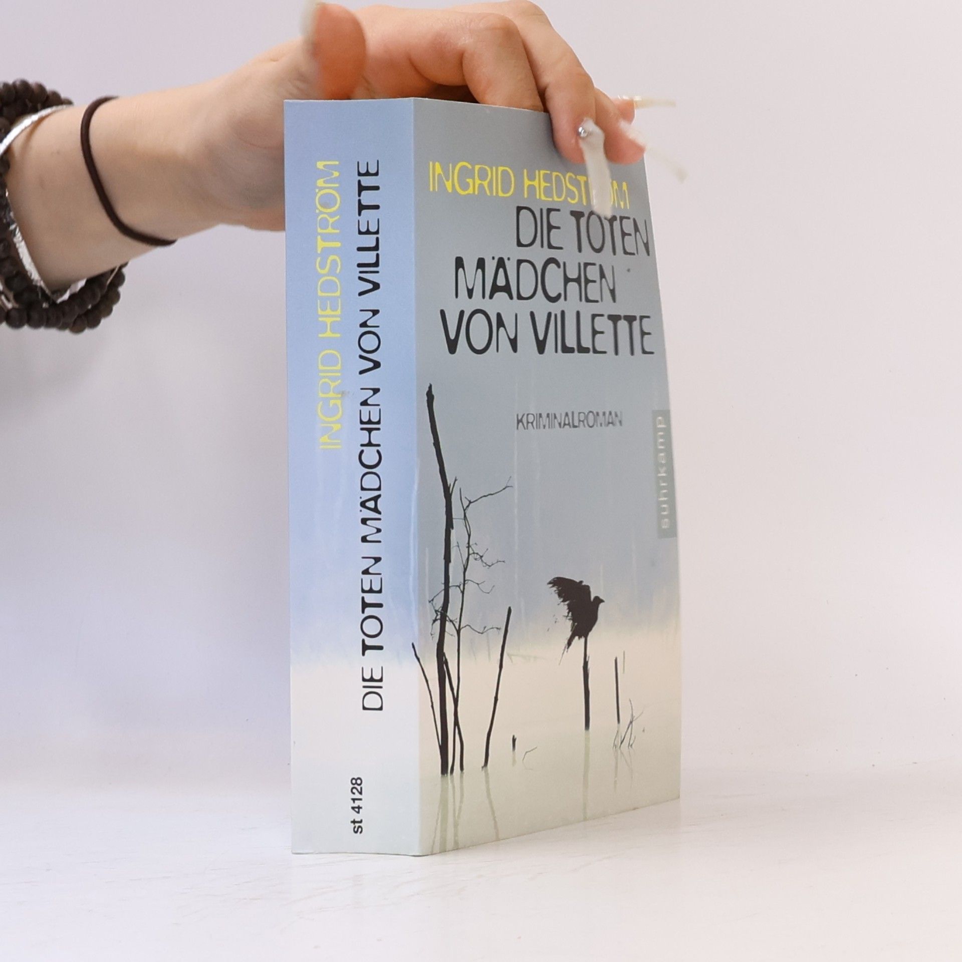 Ingrid Hedström Die toten Mädchen von Villette