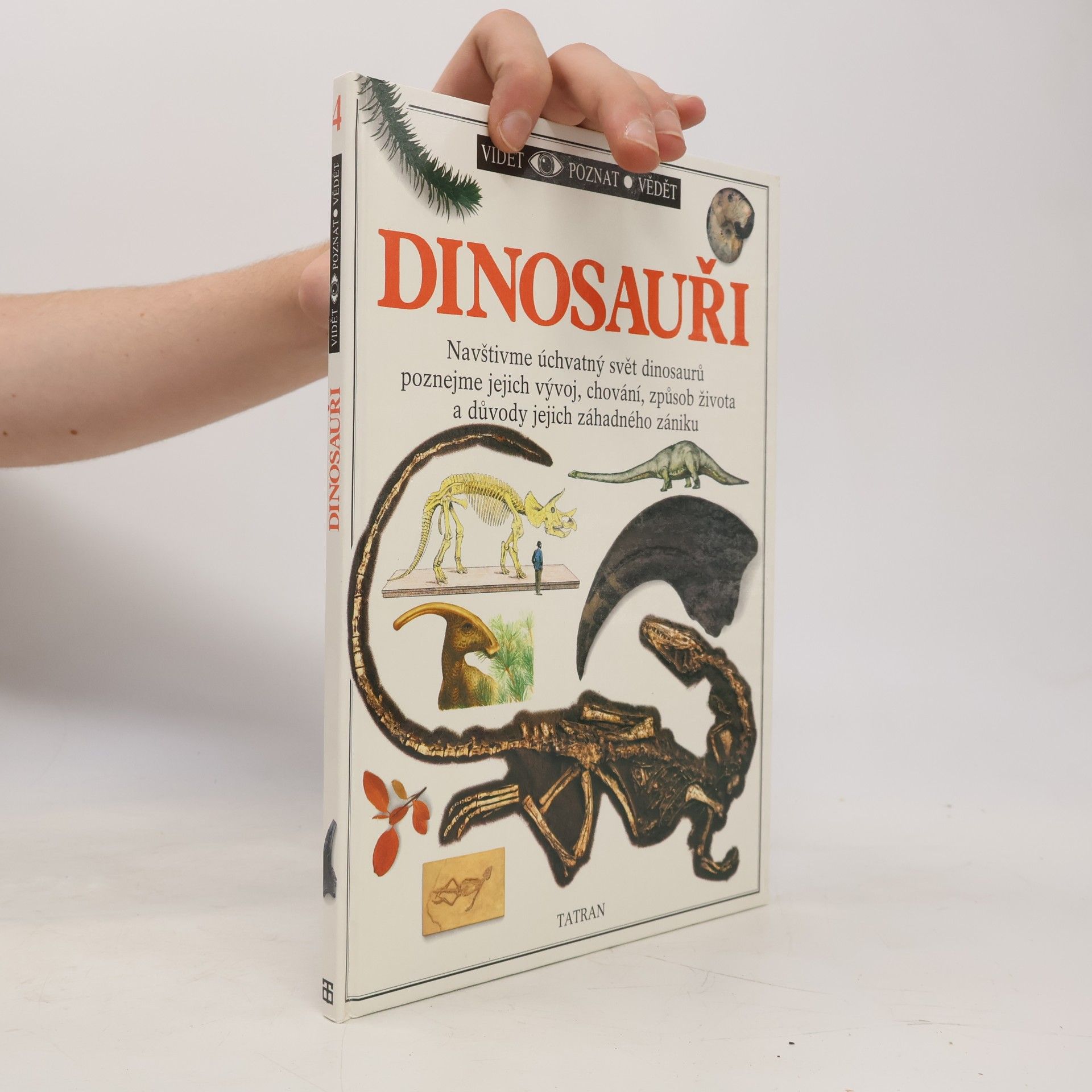 Dinosauři