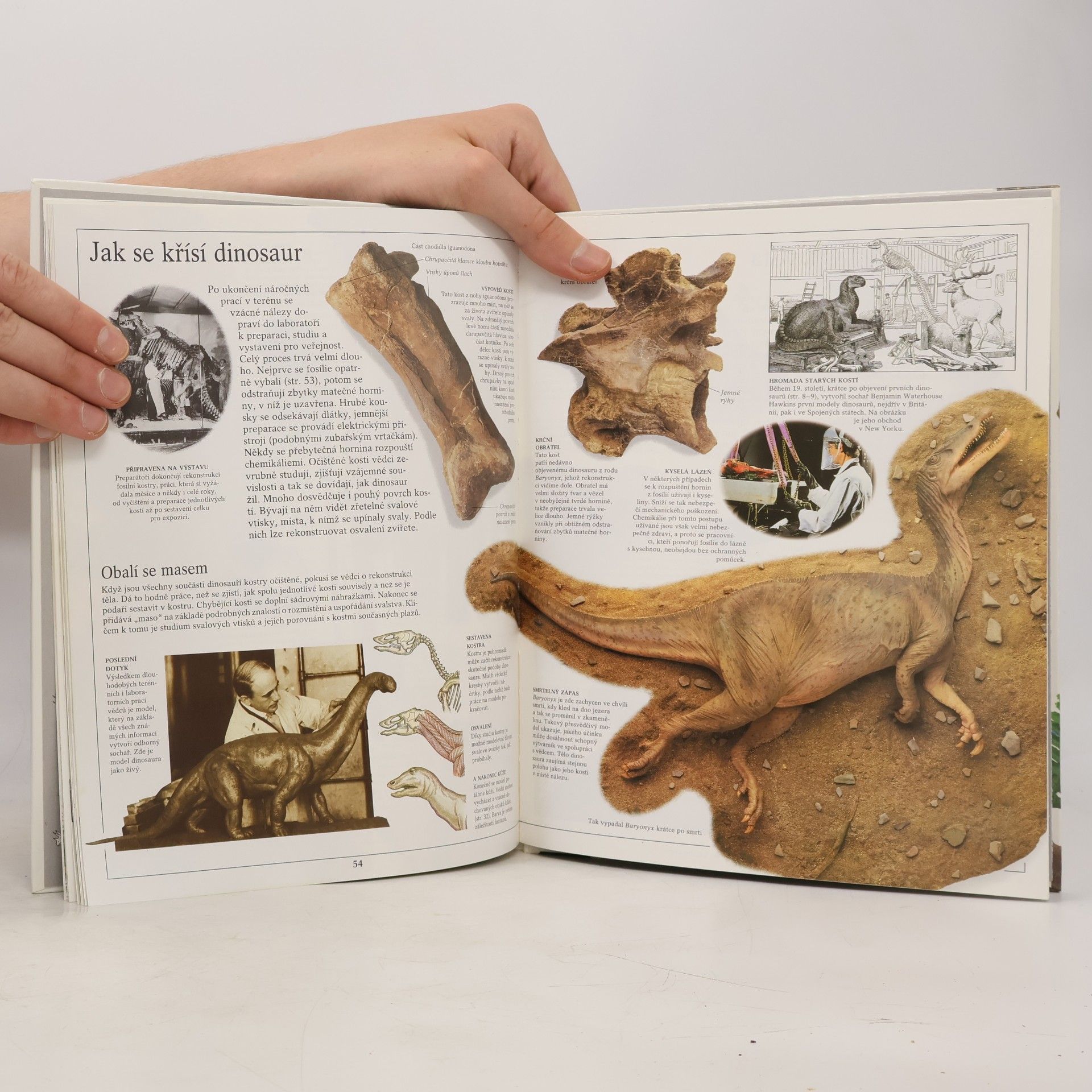Collectif d'auteurs Dinosauři