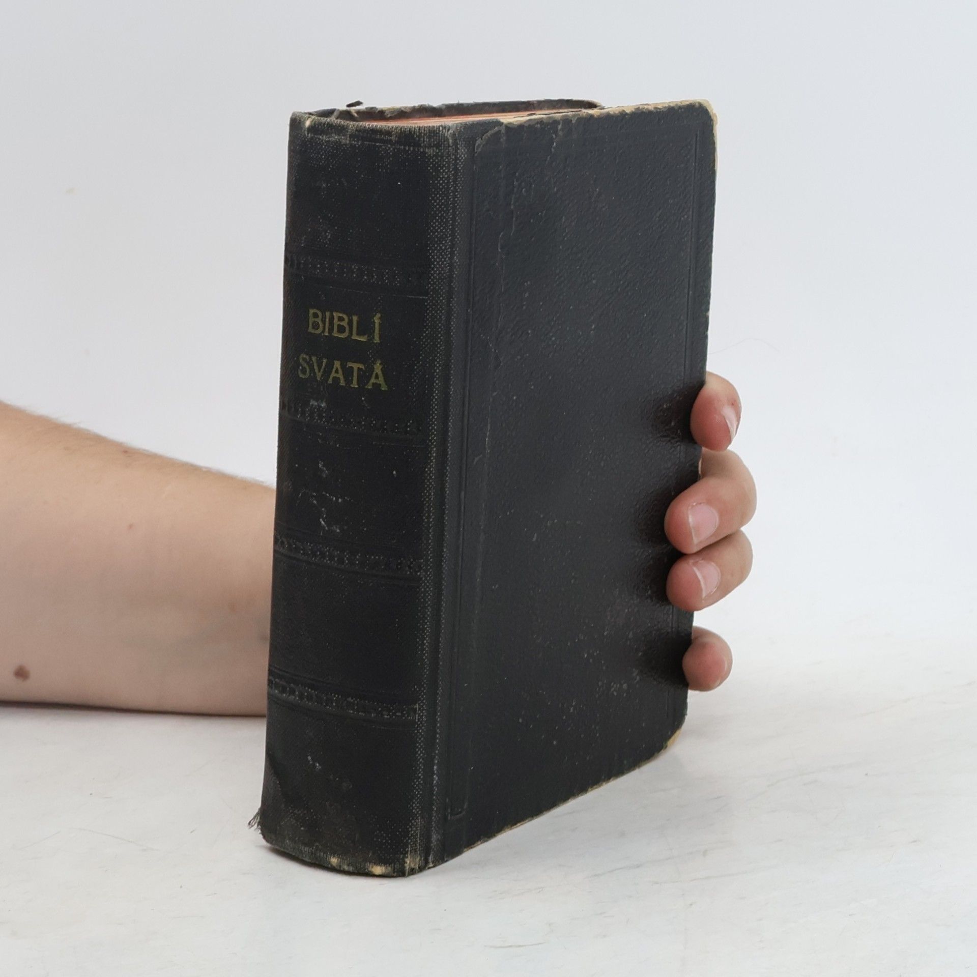 Kolektiv autorů Biblí svatá aneb všecka svatá písma starého i nového zákona