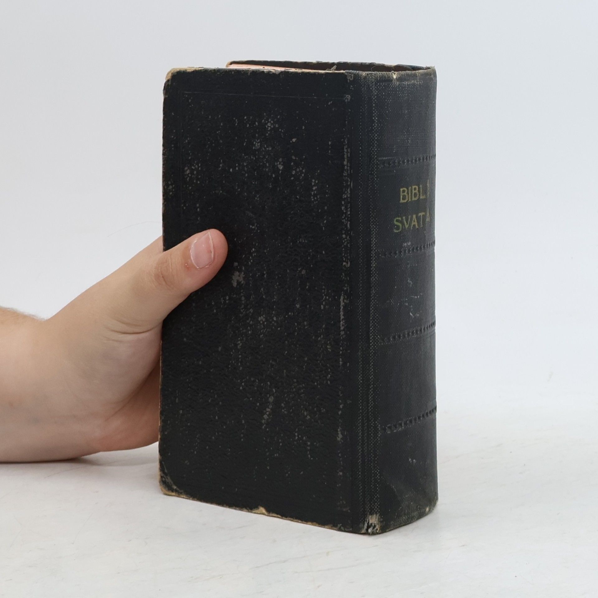 Kolektiv autorů Biblí svatá aneb všecka svatá písma starého i nového zákona