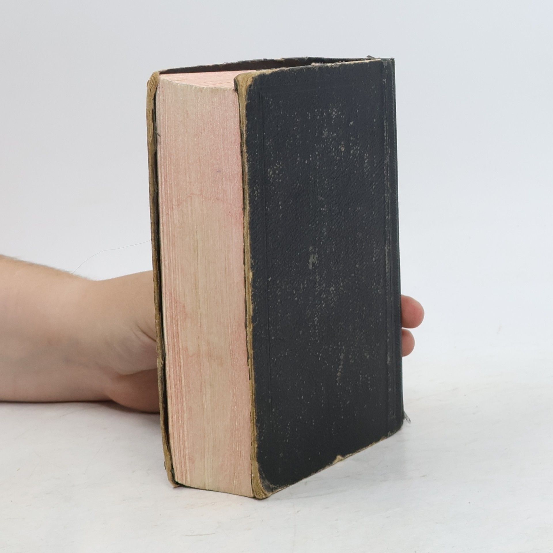 Kolektiv autorů Biblí svatá aneb všecka svatá písma starého i nového zákona
