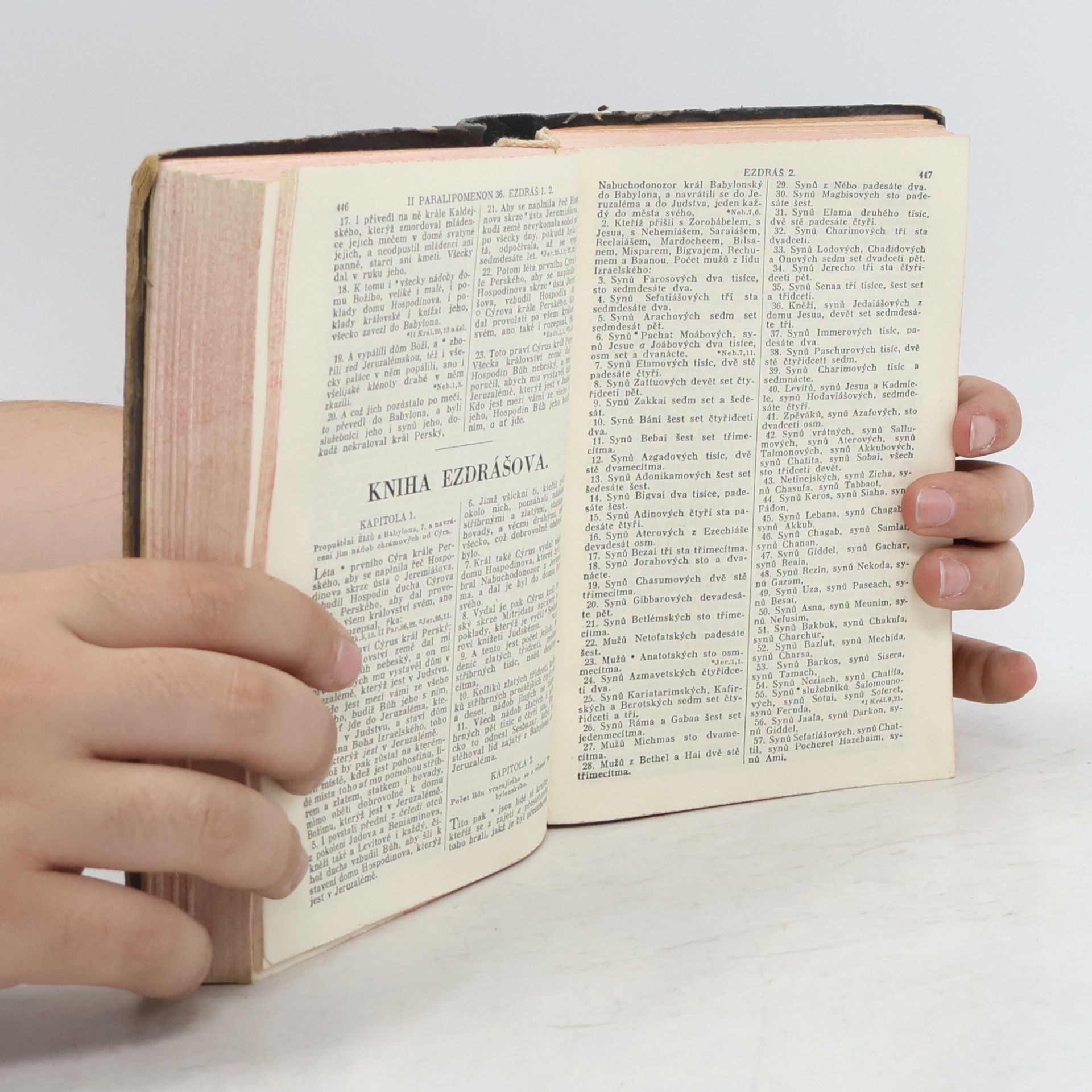 Kolektiv autorů Biblí svatá aneb všecka svatá písma starého i nového zákona