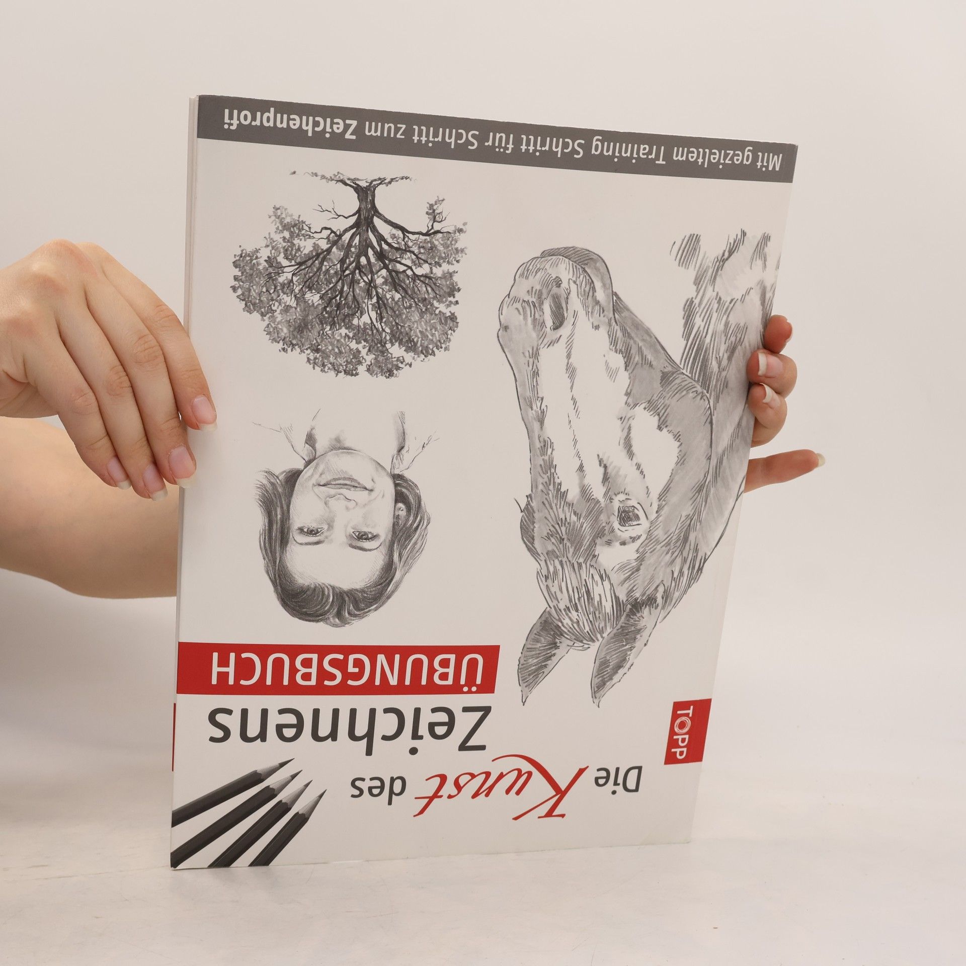 Autorenkollektiv Die Kunst des Zeichnens Übungsbuch