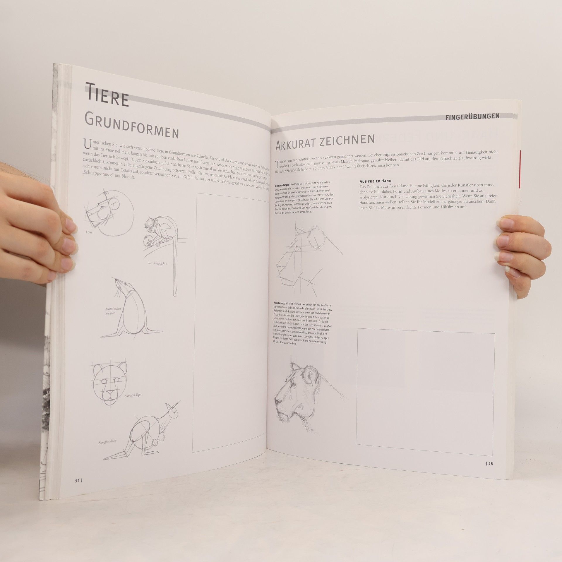 Autorenkollektiv Die Kunst des Zeichnens Übungsbuch