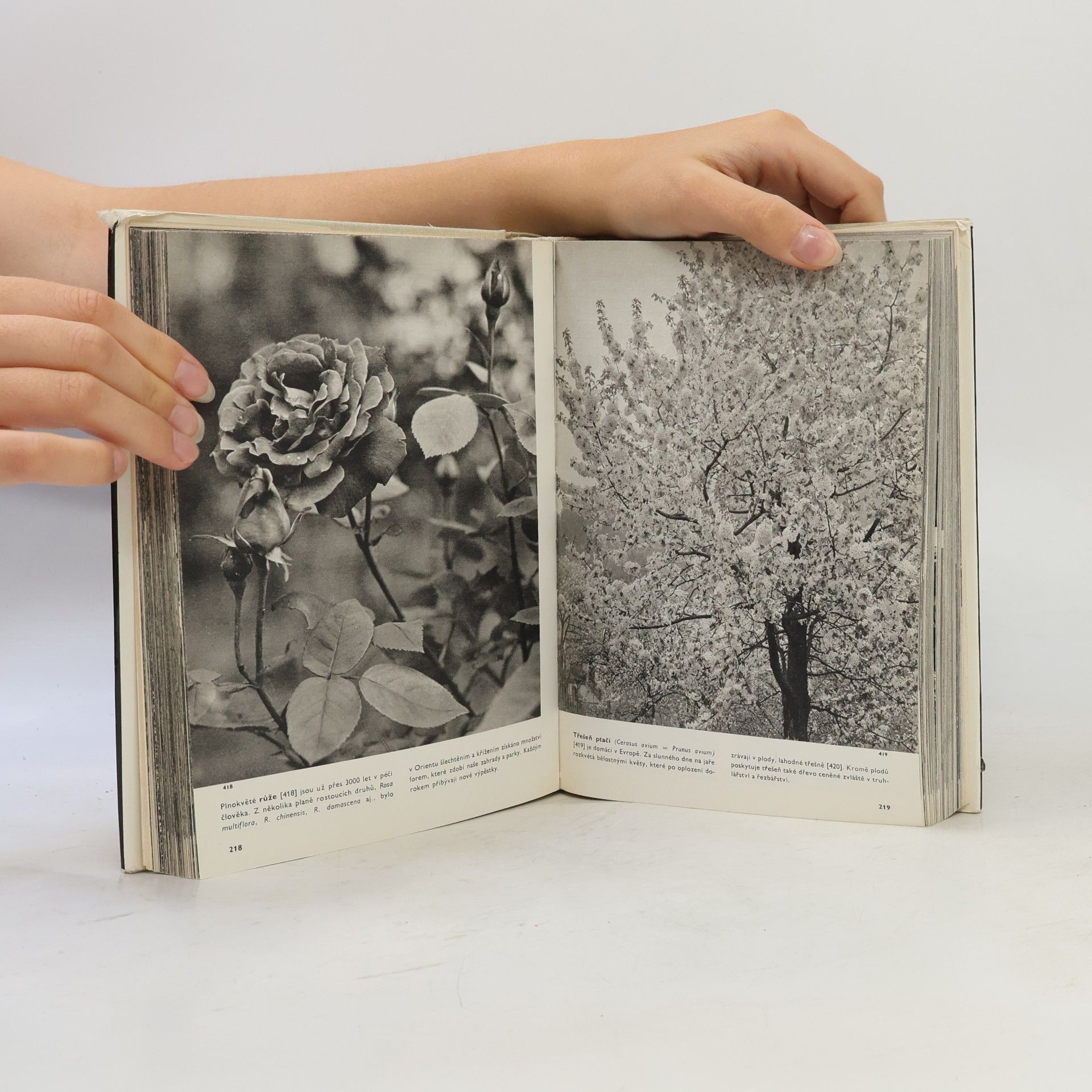 František Antonín Novák Velký obrazový atlas rostlin
