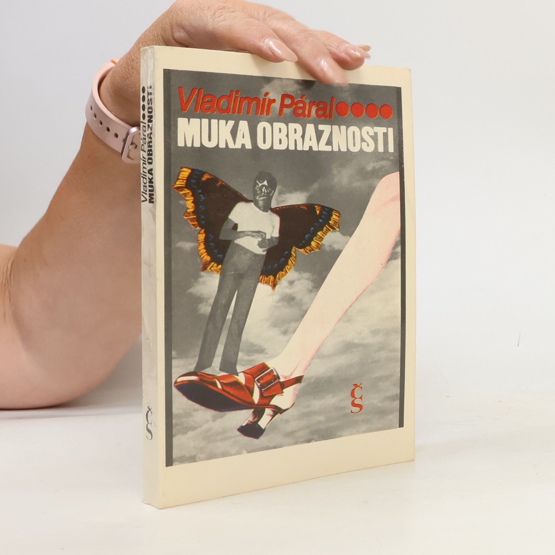 Vladimír Páral Muka obraznosti