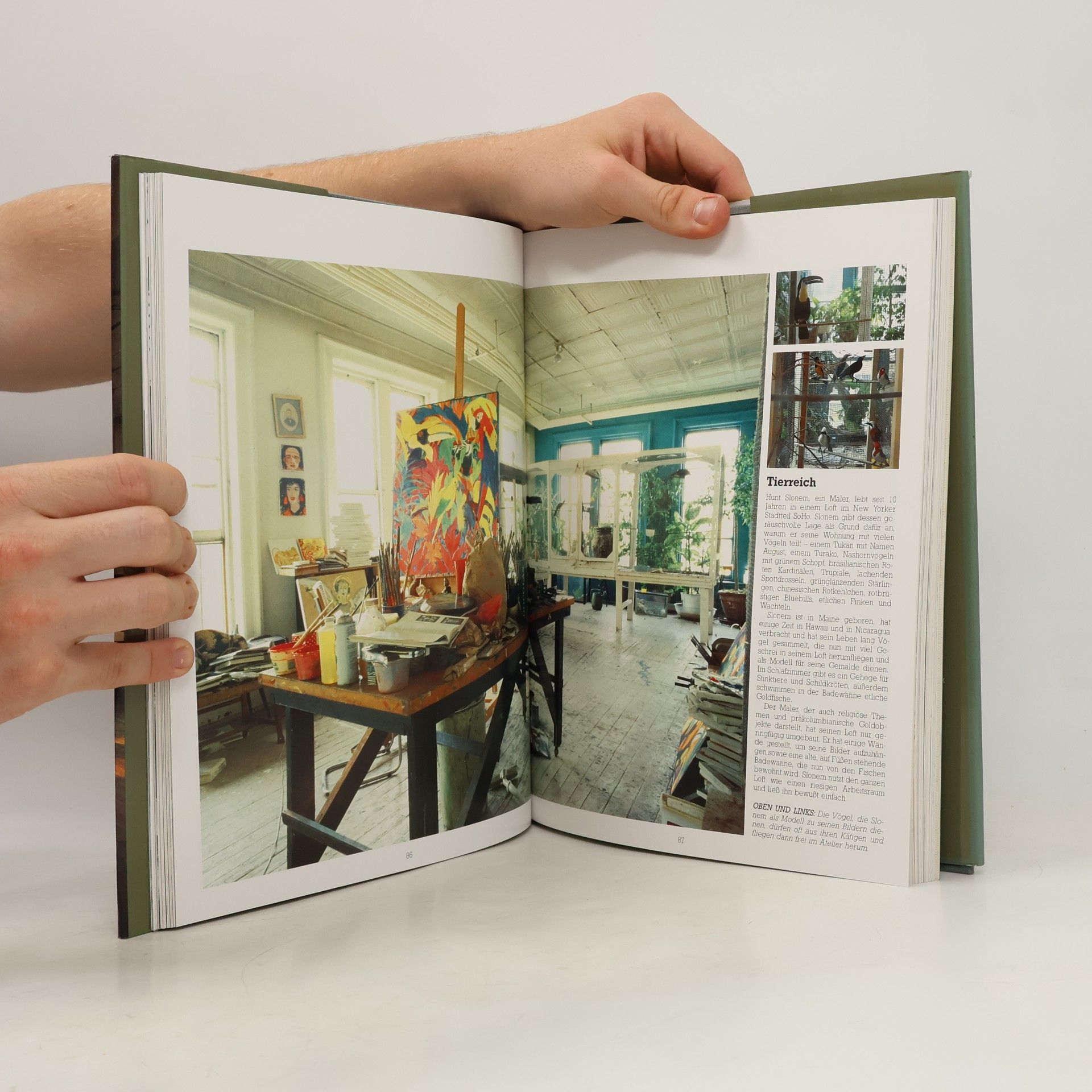 Suzanne Slesin Wohnen in lofts