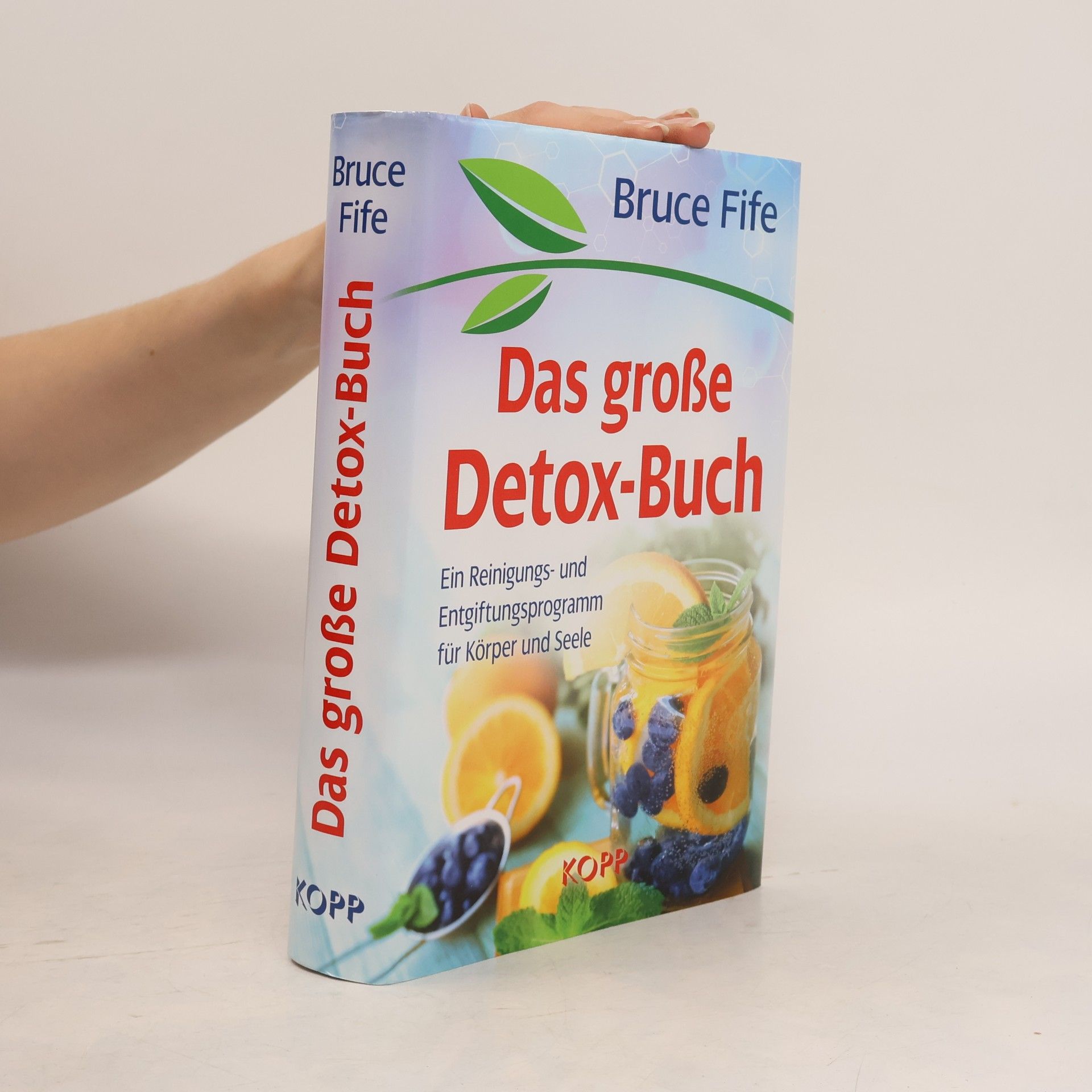 Bruce Fife Das große Detox-Buch