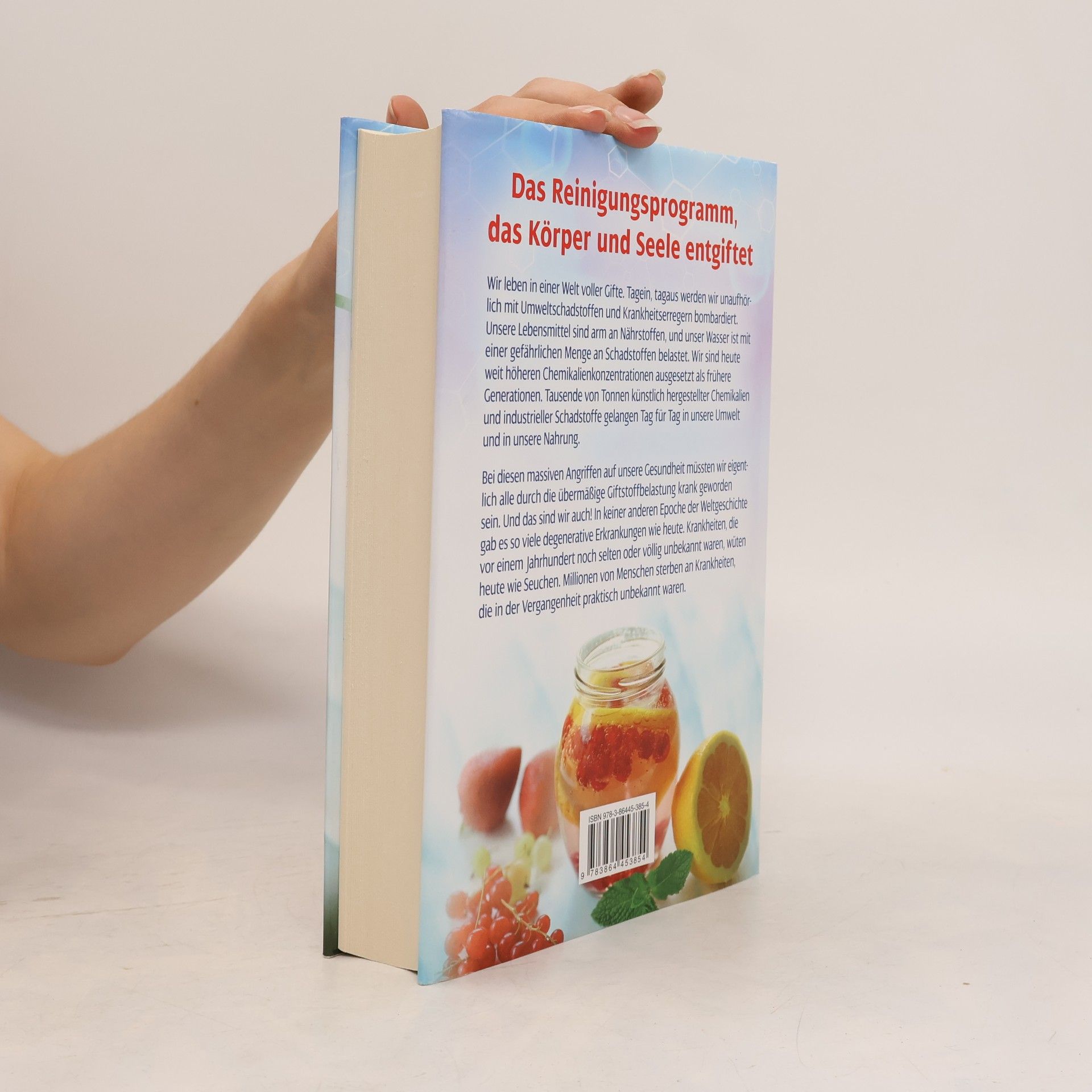 Bruce Fife Das große Detox-Buch