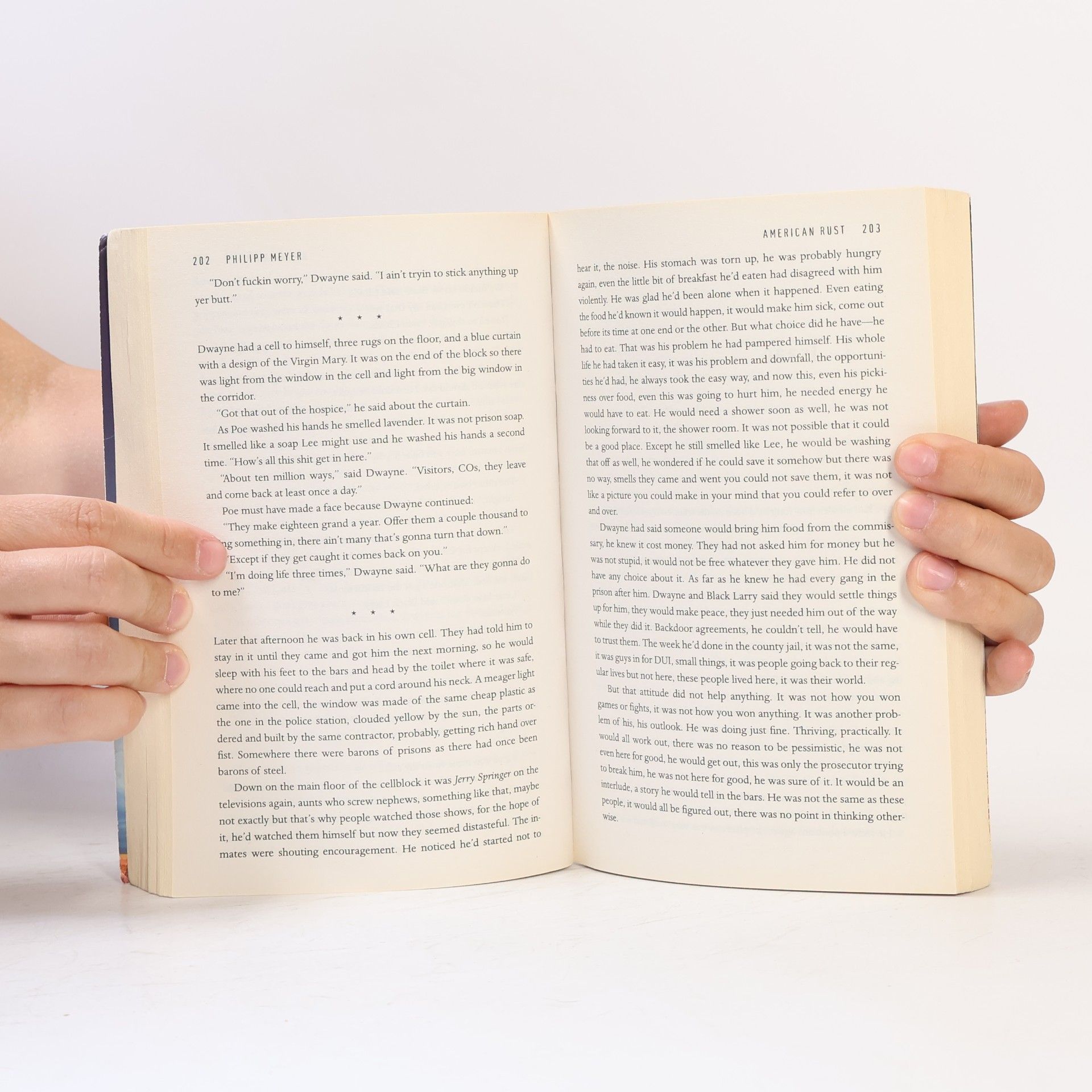 Philipp Meyer American Rust. Rost, englische Ausgabe