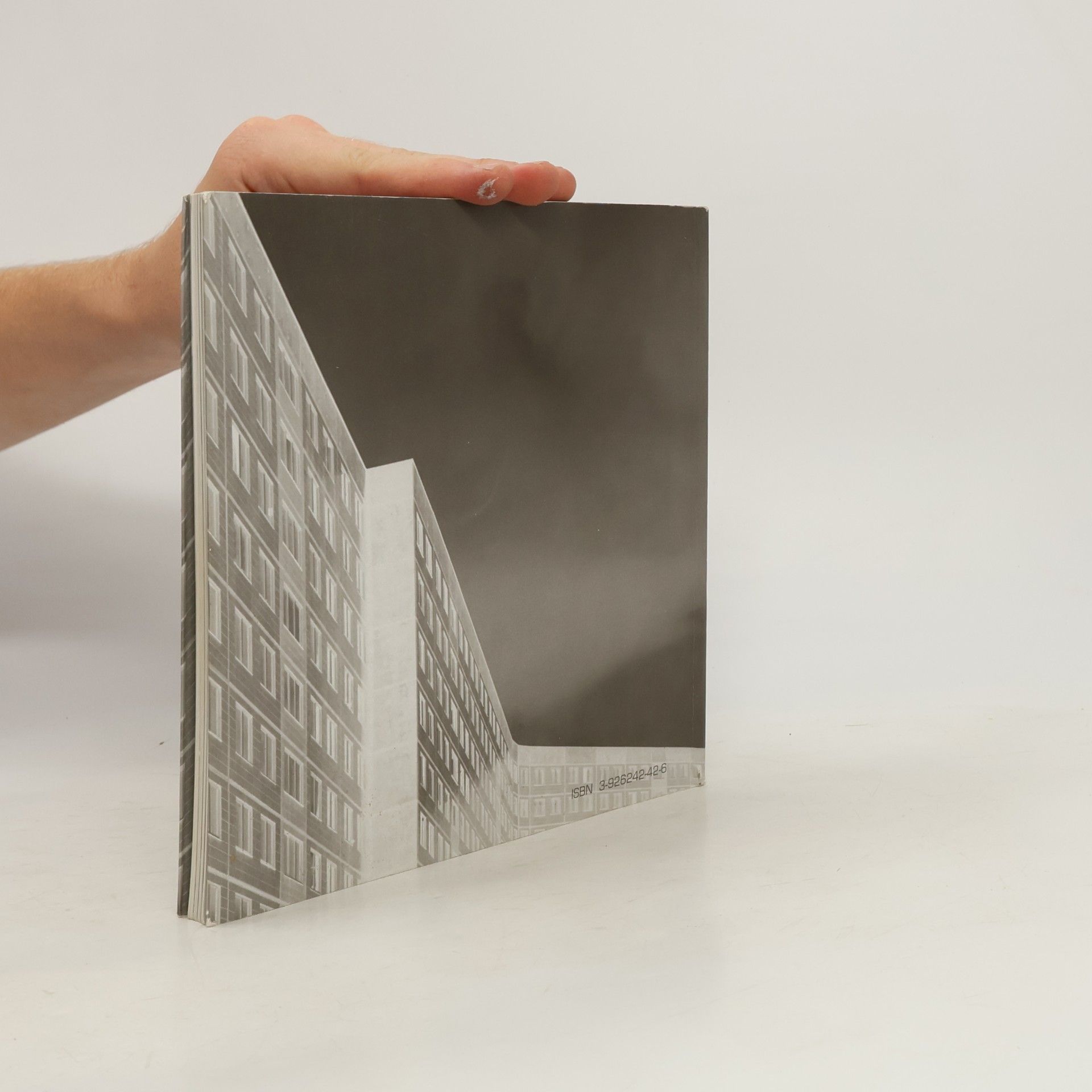 Wolfgang Pircher Plattenbau oder die Kunst, Utopie im Baukasten zu warten