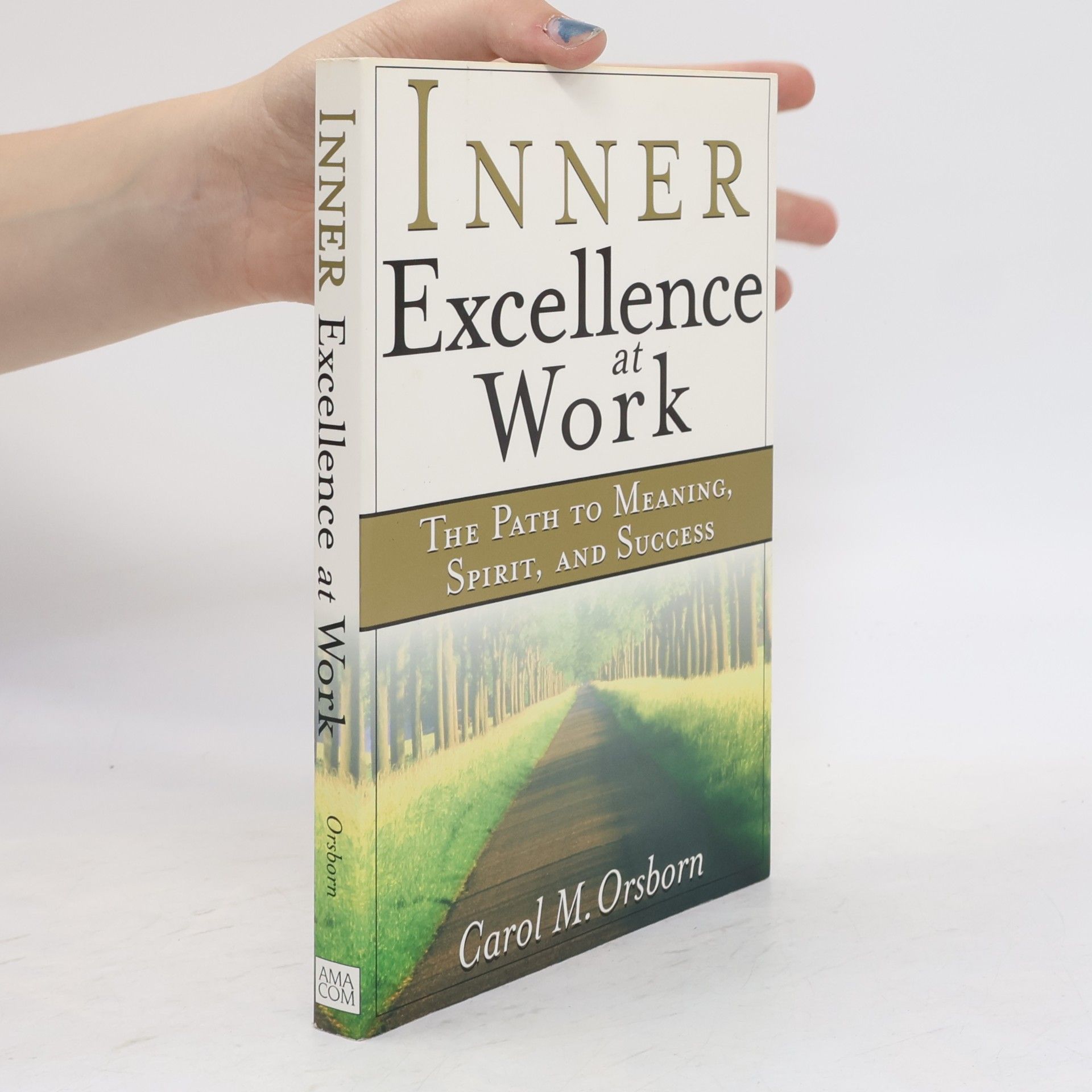 Carol Matzkin Orsborn Inner Excellence at Work