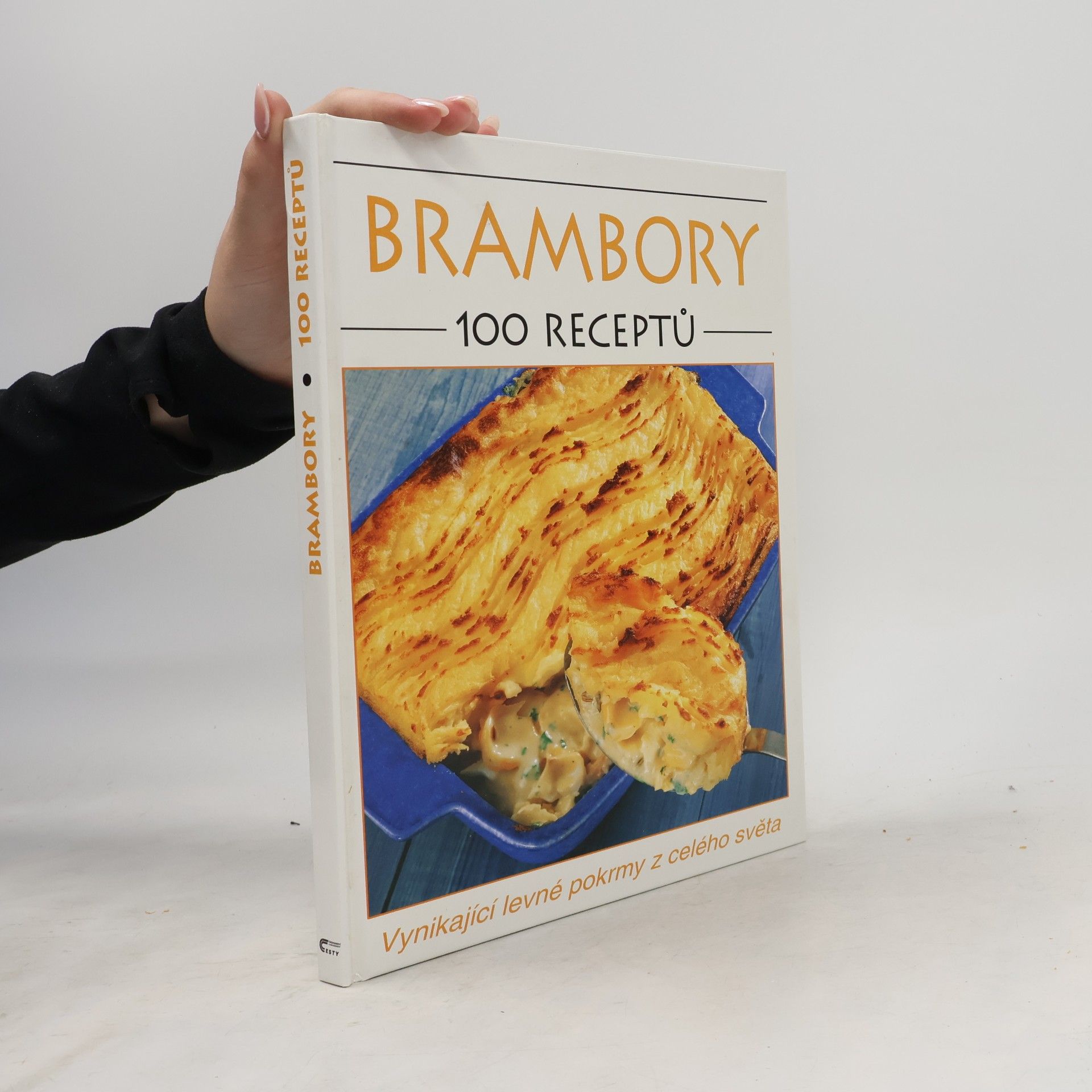Autorenkollektiv Brambory. 100 receptů