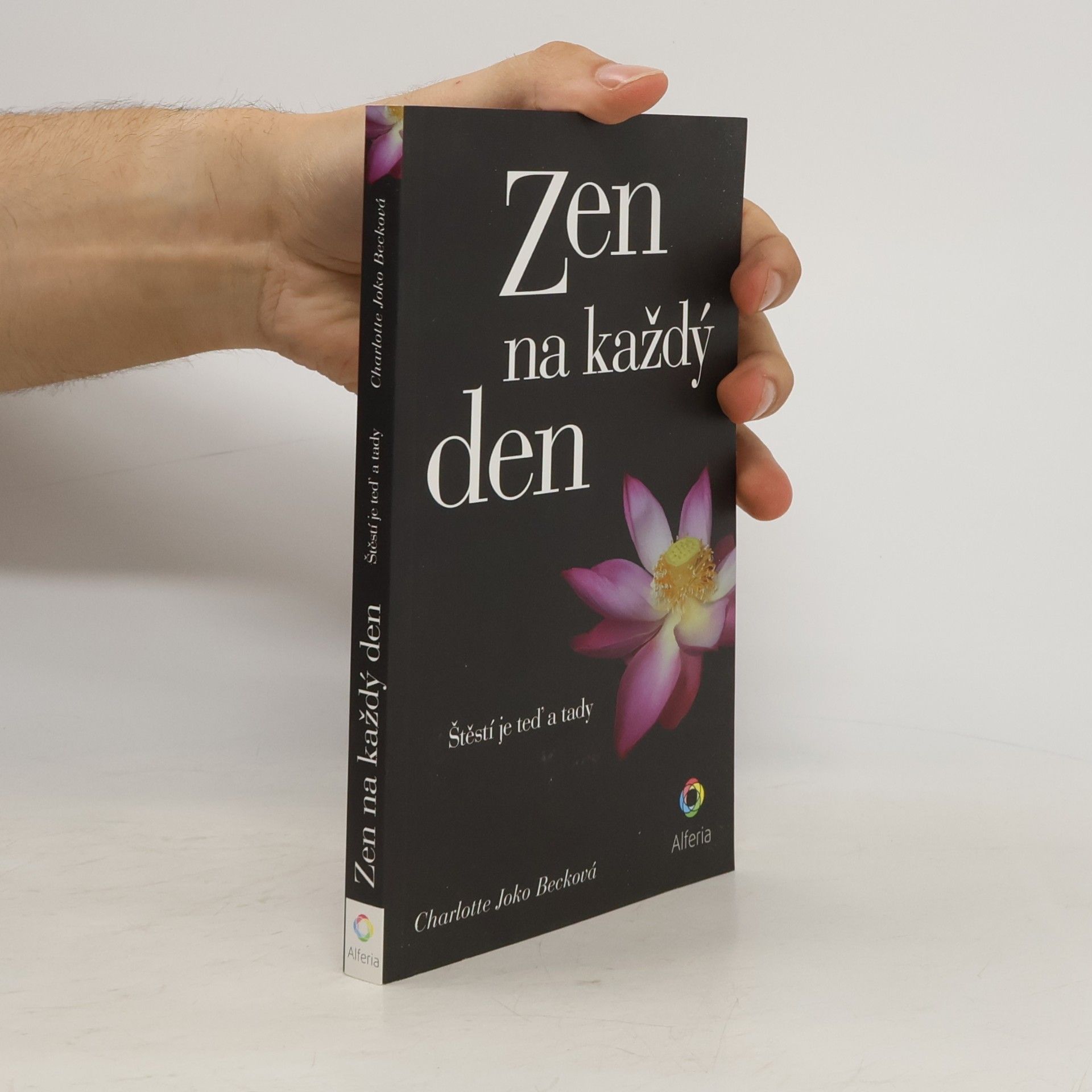 Joko Beck Zen na každý den