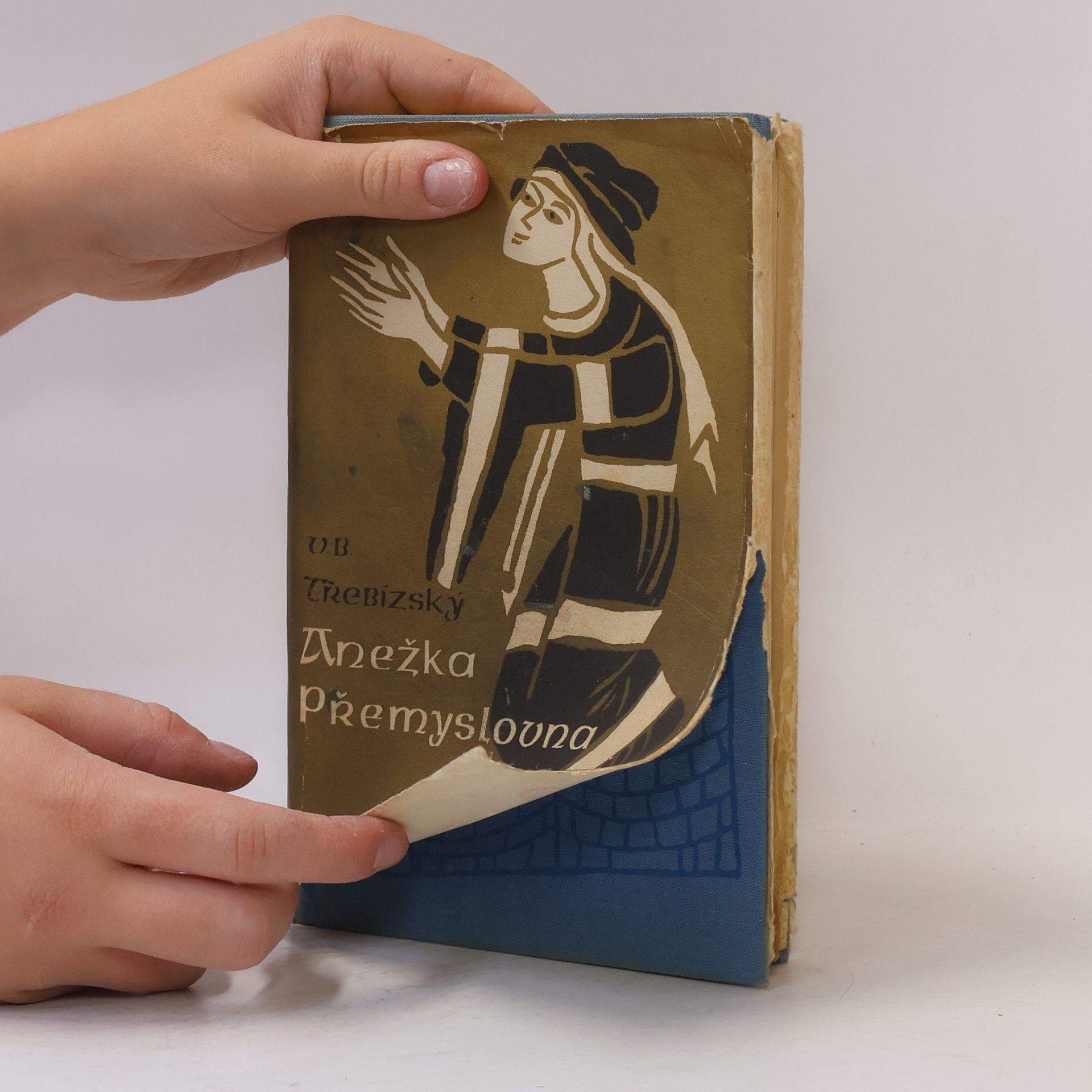 Václav Beneš Třebízský Anežka Přemyslovna