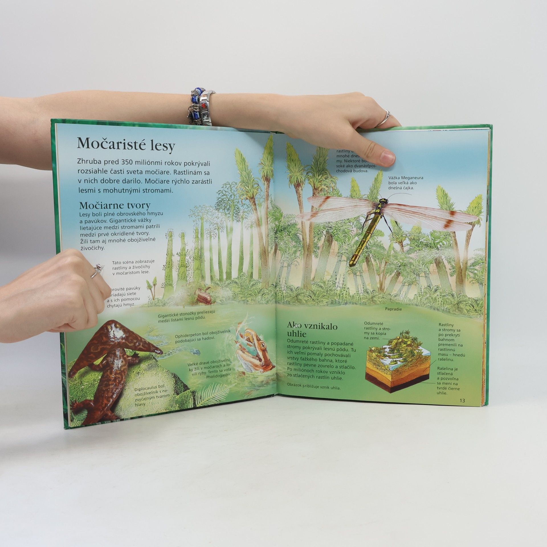 Sam Taplin Dinosaury a prehistorický život