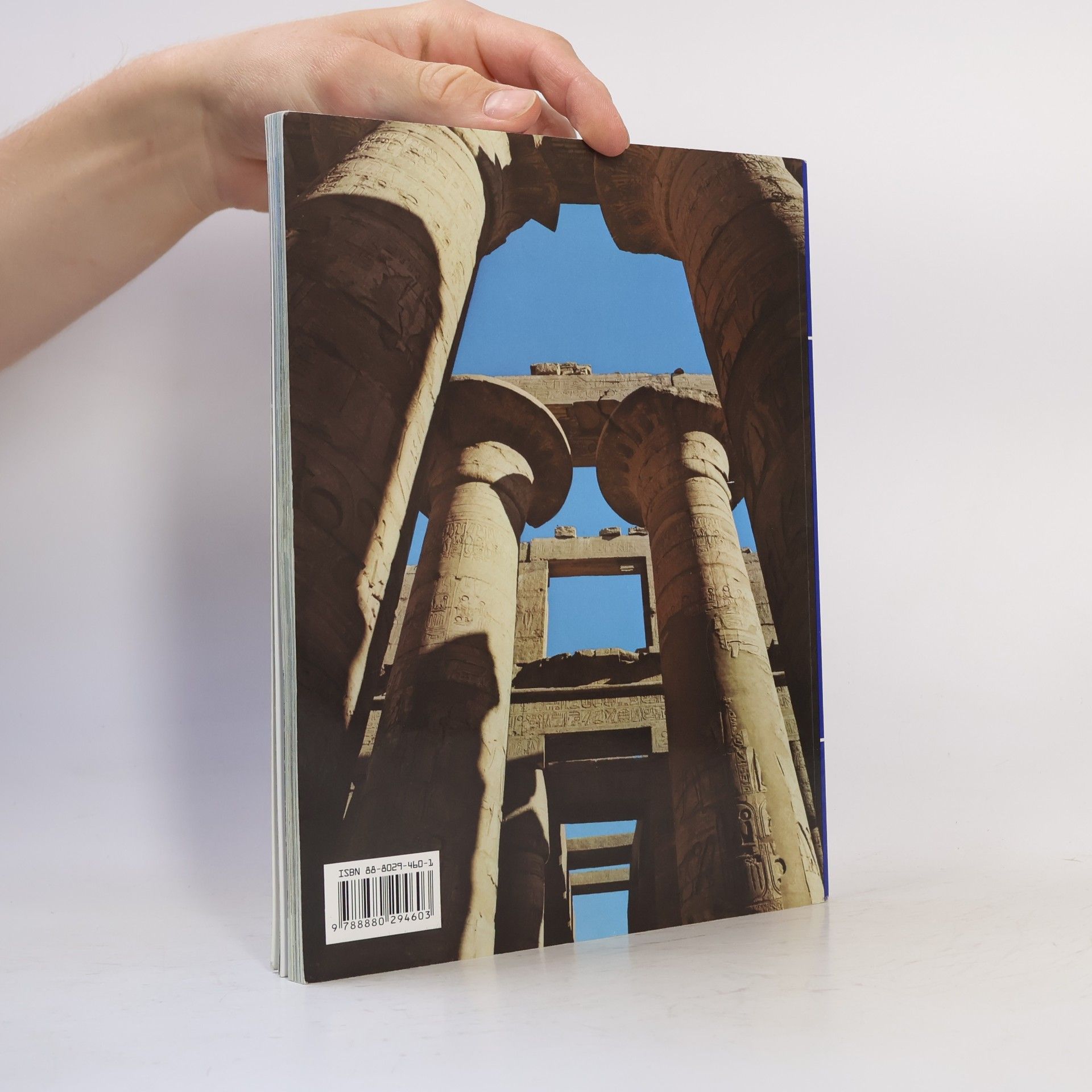 Abbas Chalaby Napříč Egyptem. Od Káhiry po Abu Simbel a Sinaj