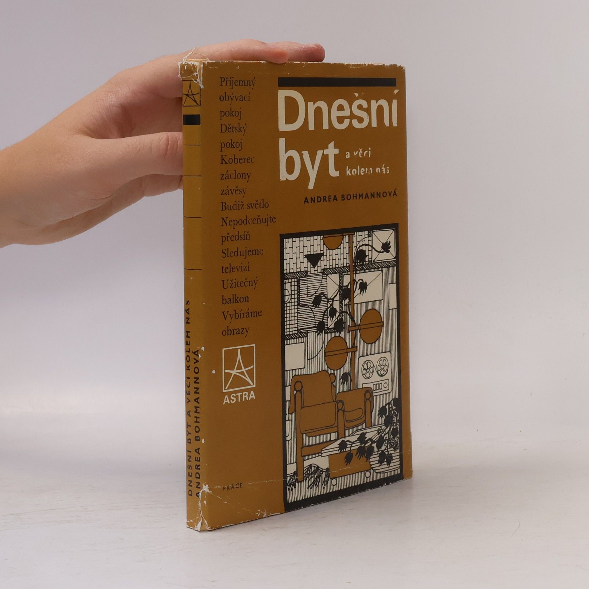 Andrea Bohmannová Dnešní byt a věci kolem nás