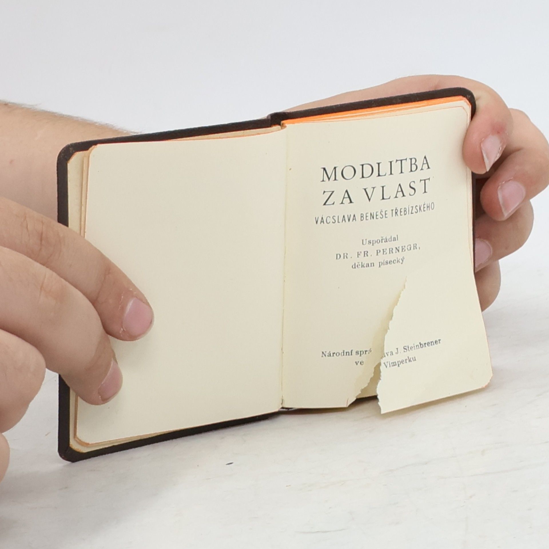 Václav Beneš Třebízský Modlitba za vlast