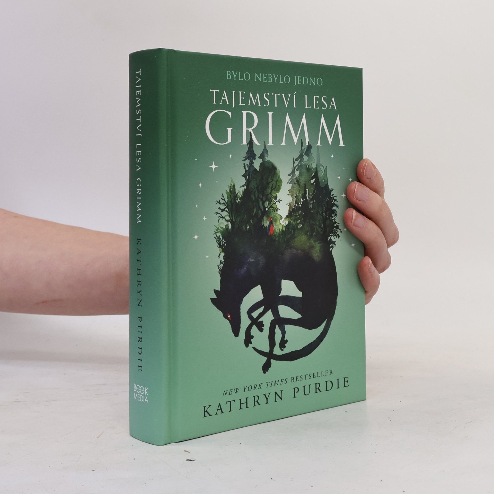 Kathryn Purdie Tajemství lesa Grimm