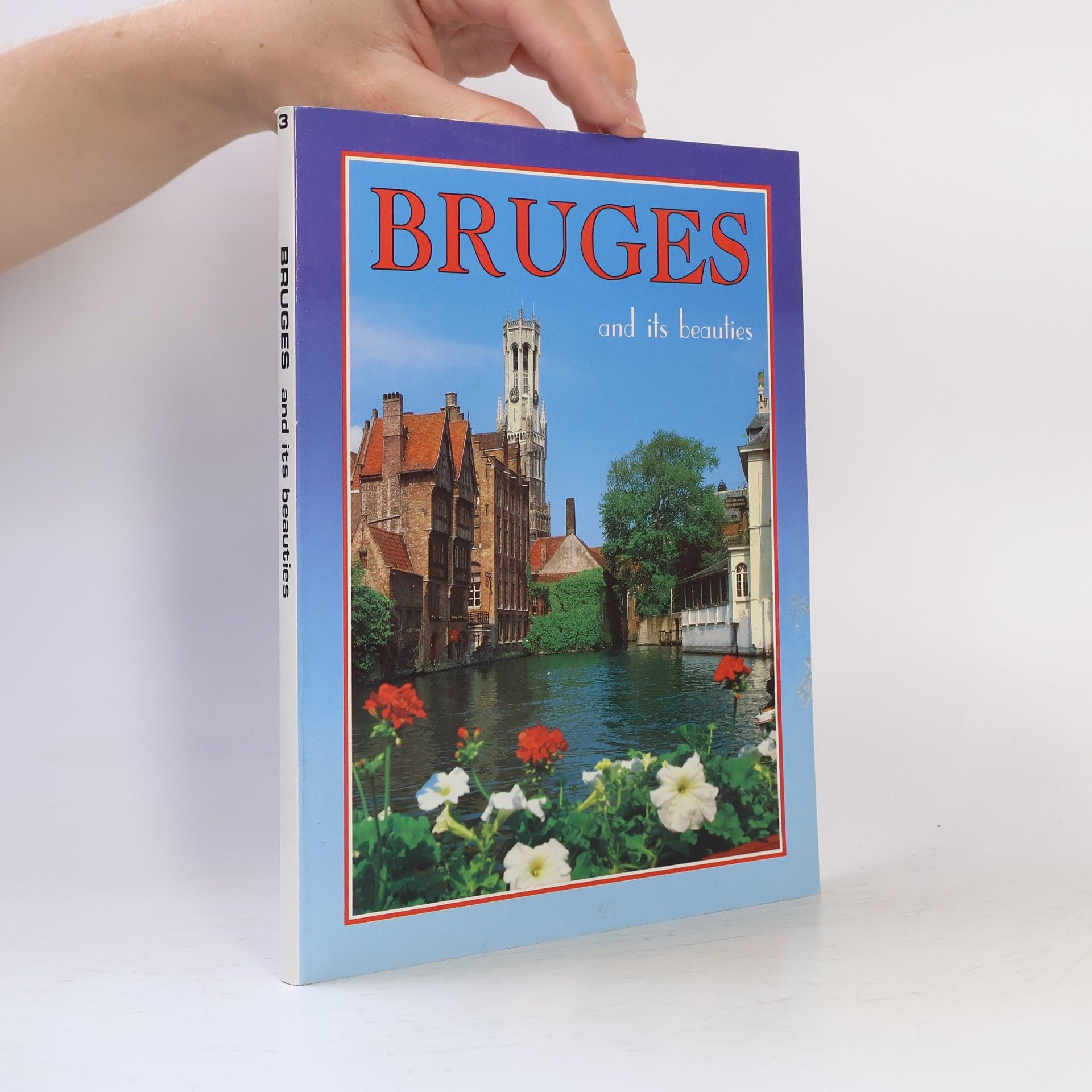 AA.VV. Bruges and its beauties