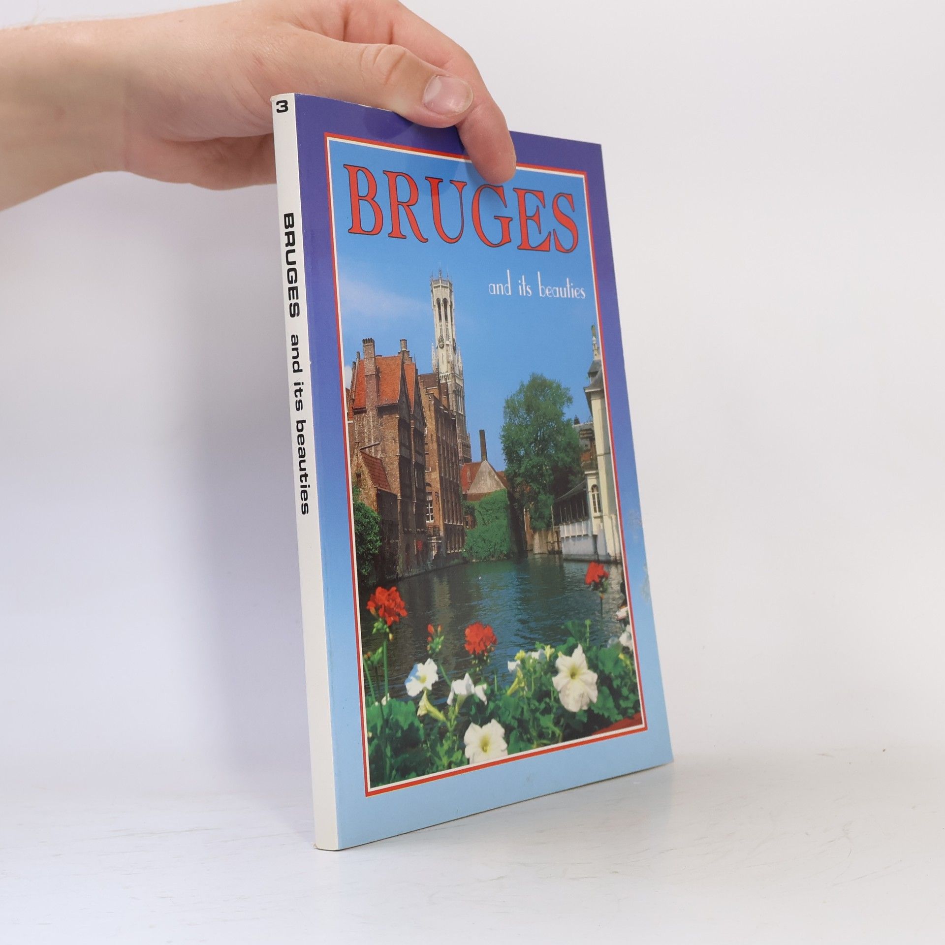 Collectif d'auteurs Bruges and its beauties