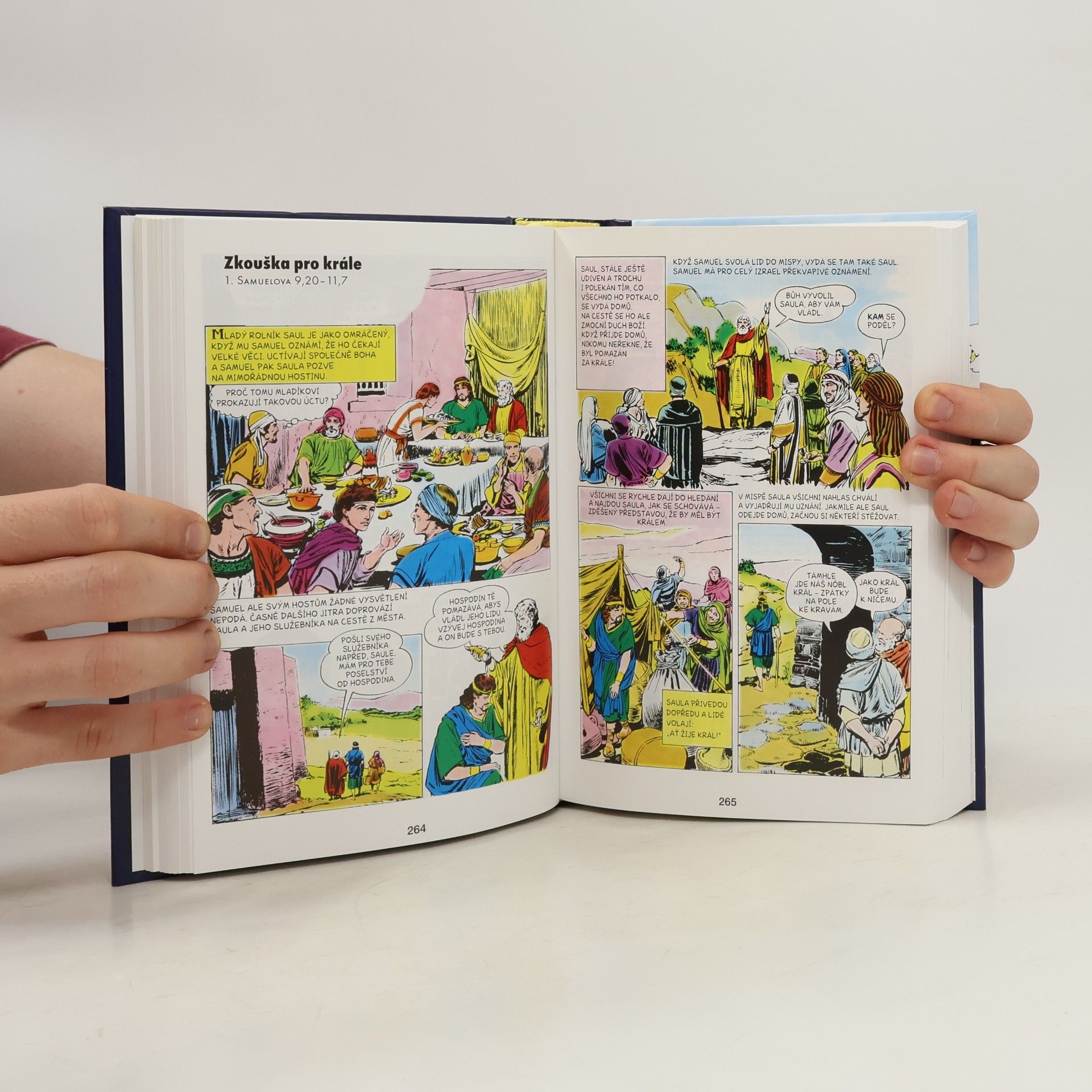 Iva Hoth Komiksová Bible
