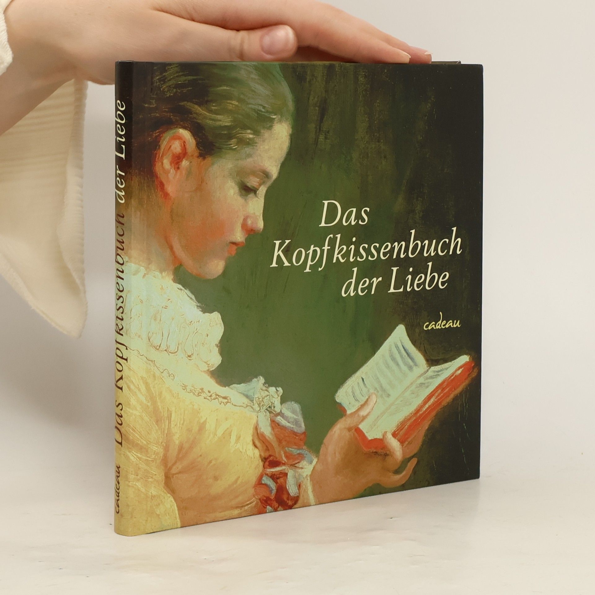 Michael Korth Das Kopfkissenbuch der Liebe
