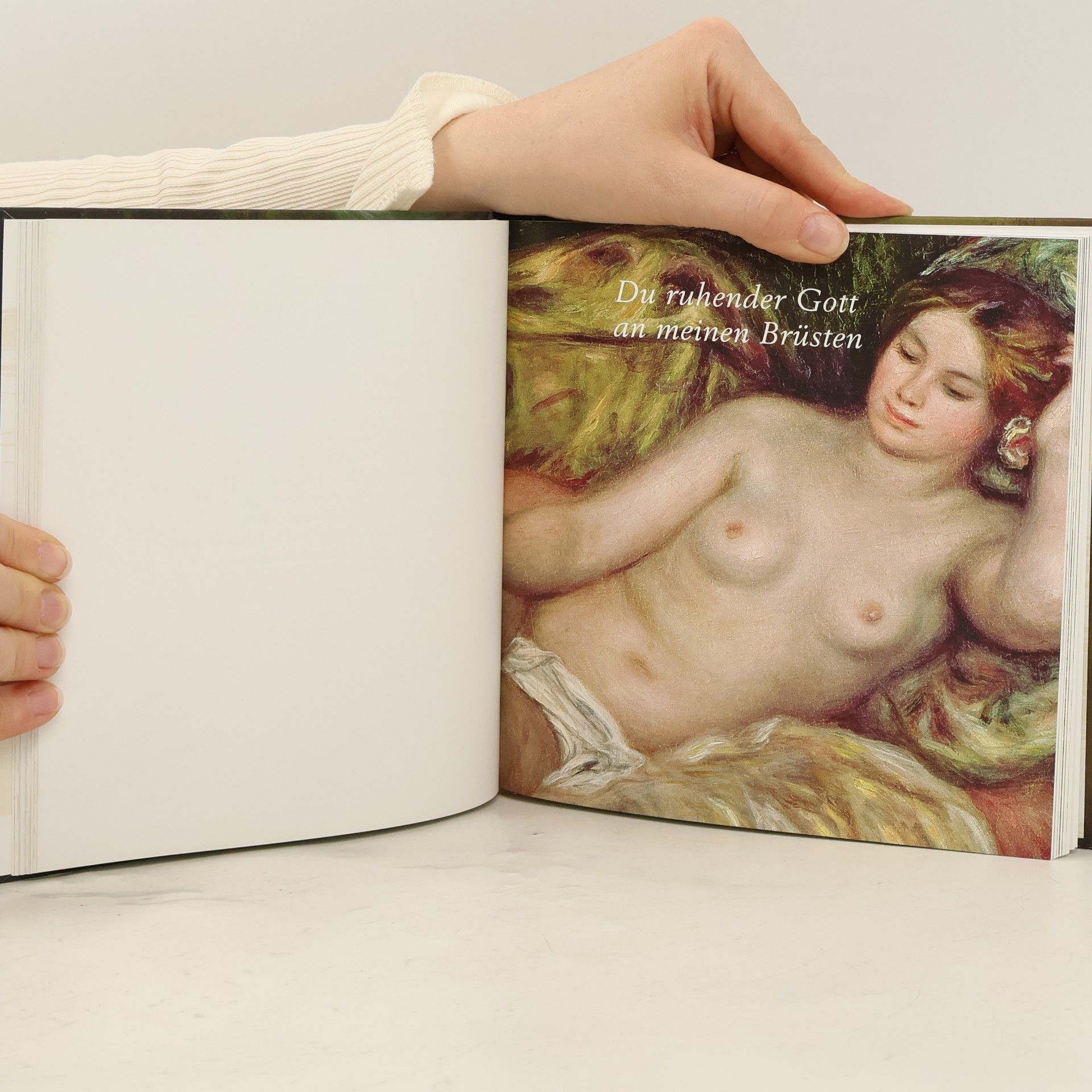 Michael Korth Das Kopfkissenbuch der Liebe