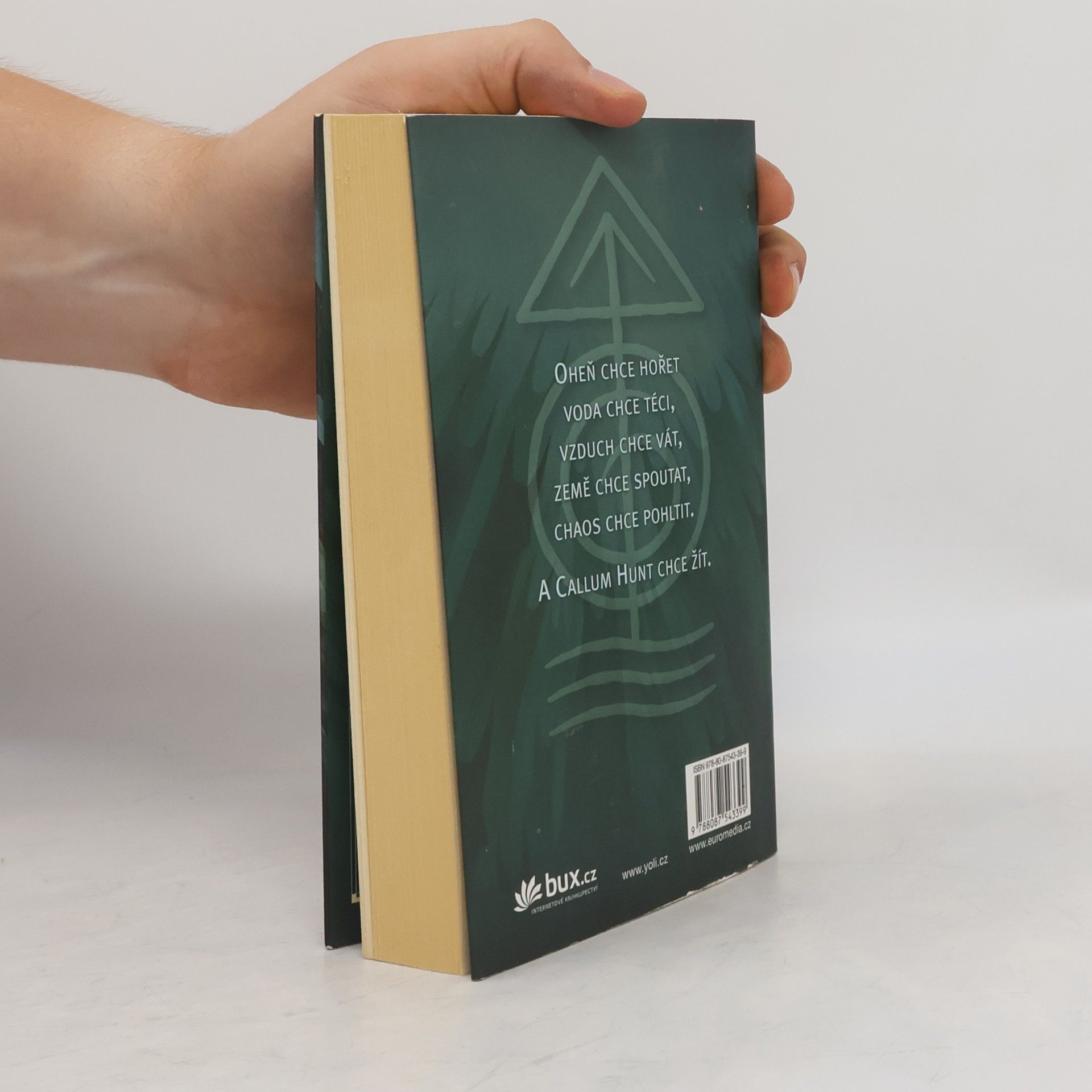Holly Black Magisterium 1. Železná zkouška