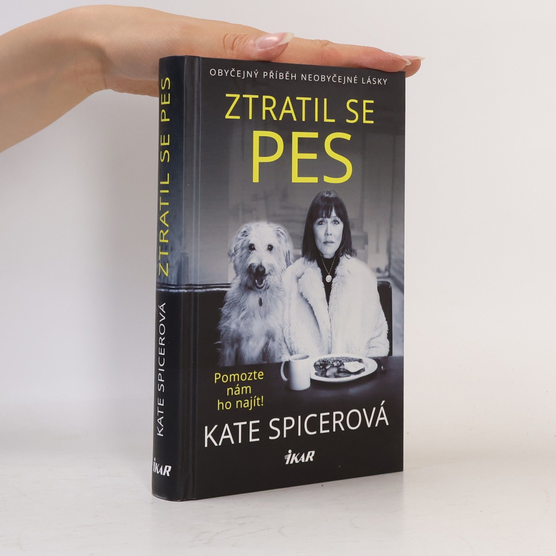 Kate Spicer Ztratil se pes