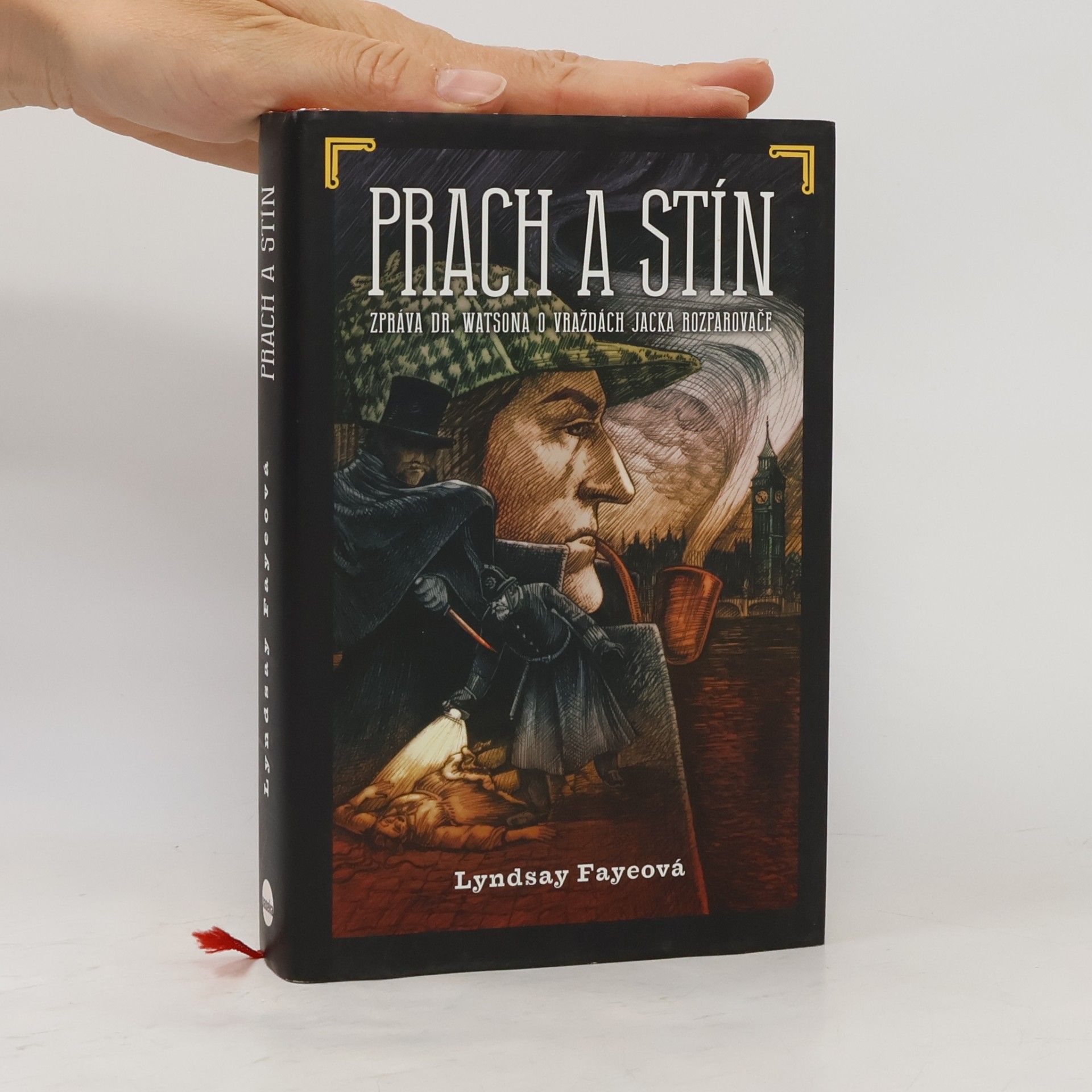Lyndsay Faye Prach a stín